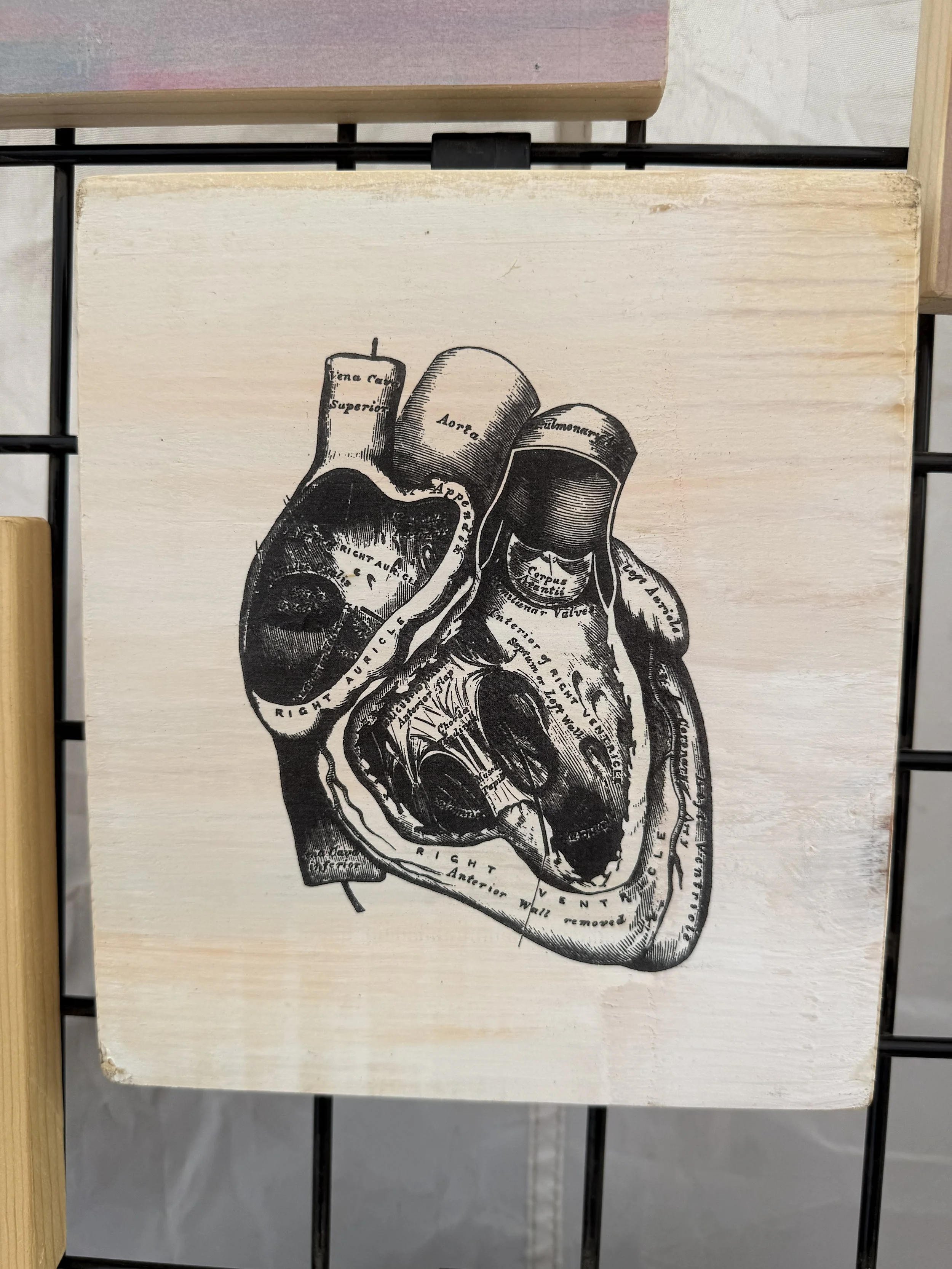 HEART OF THE MATTER