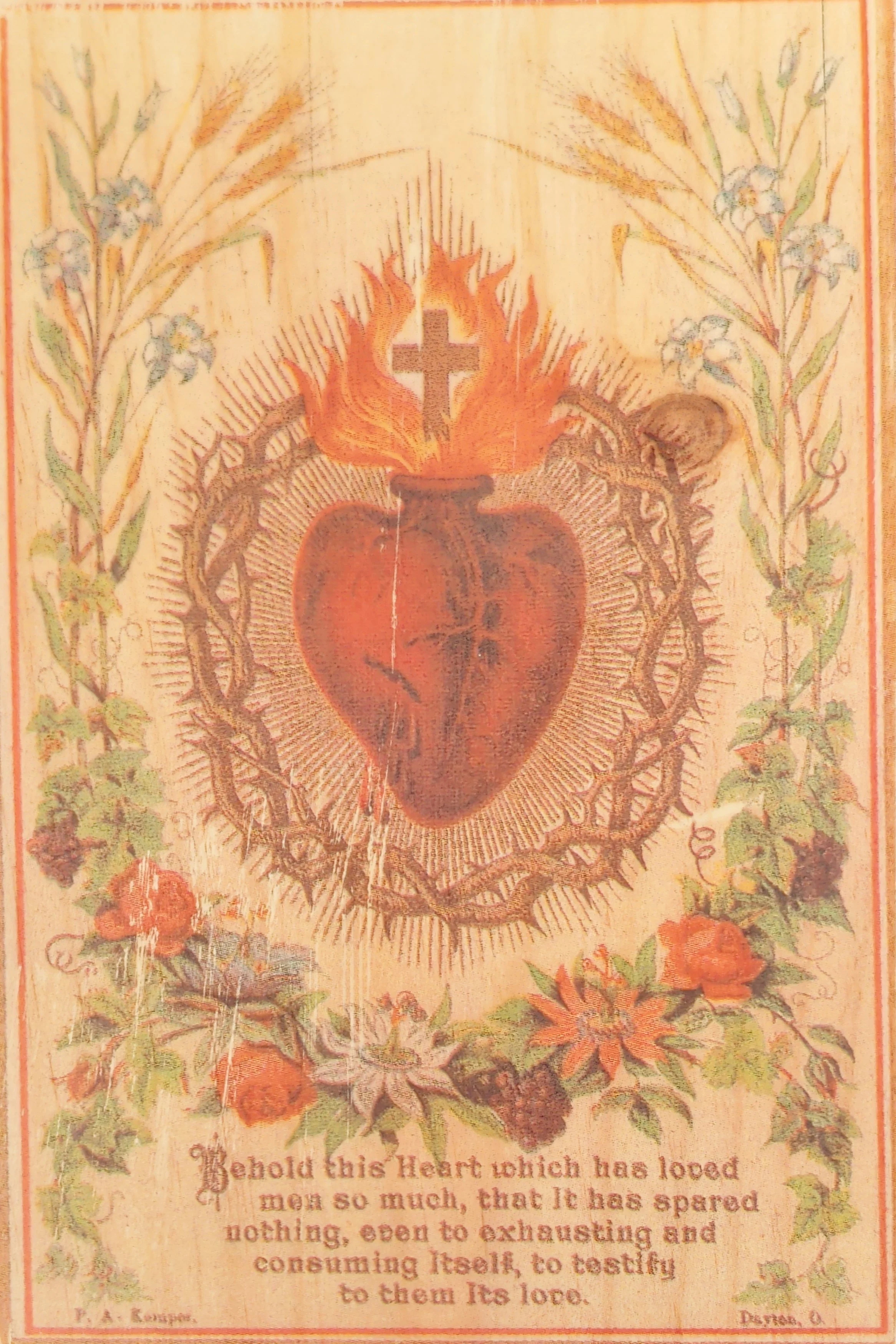 SCARED HEART