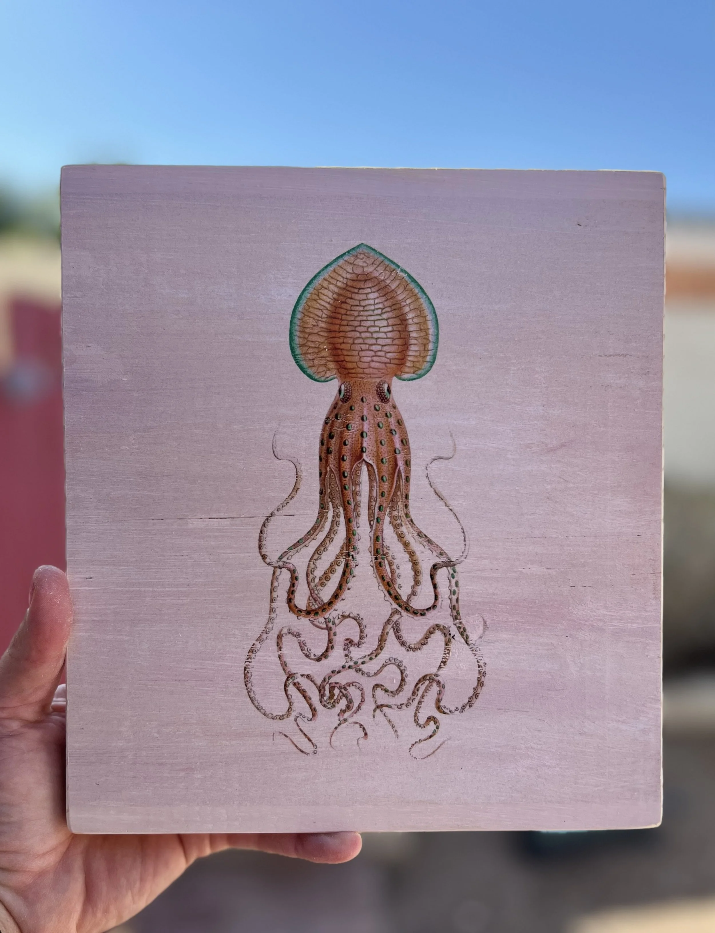 squid.jpeg