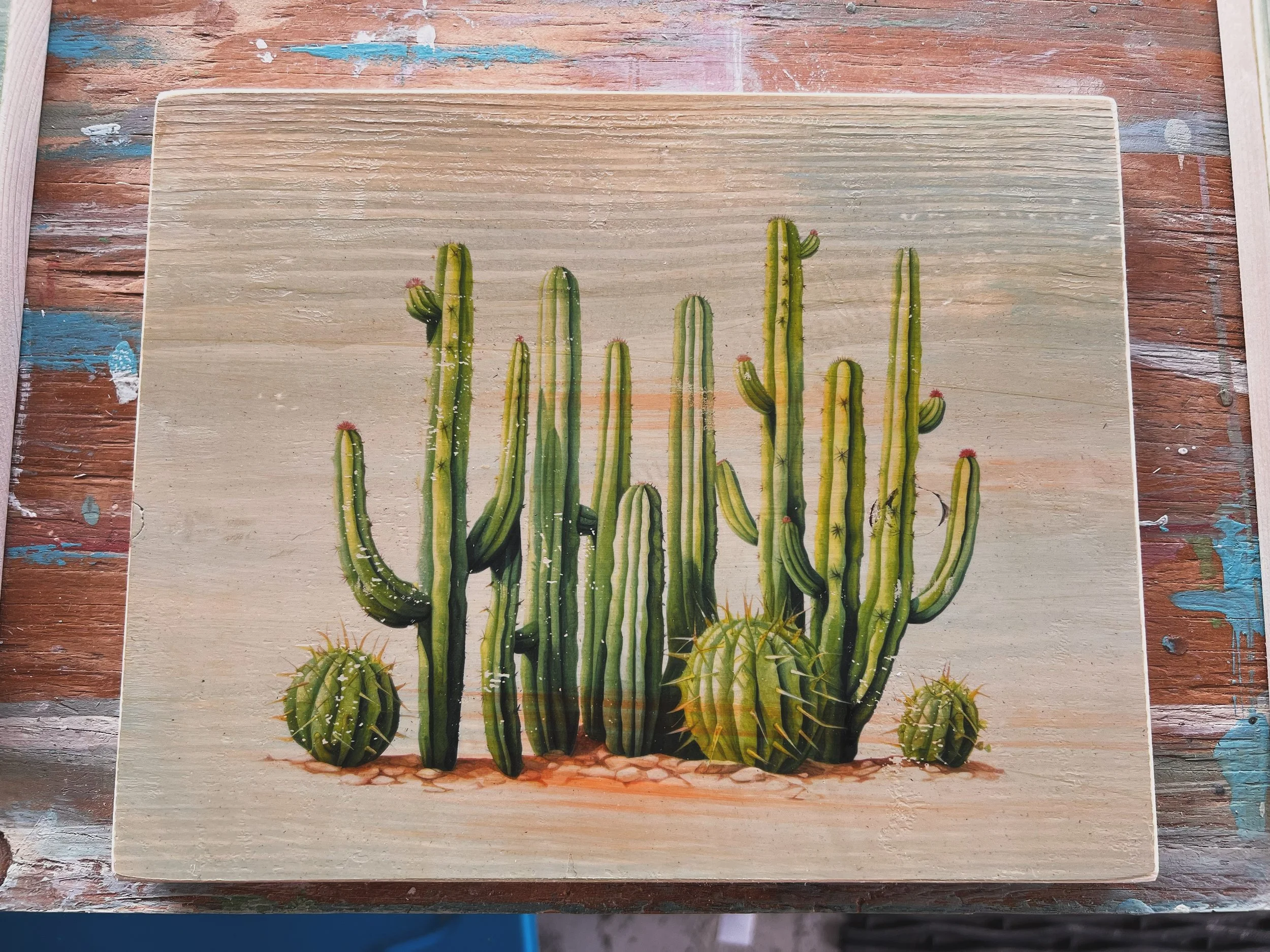 CACTUS COMPANY