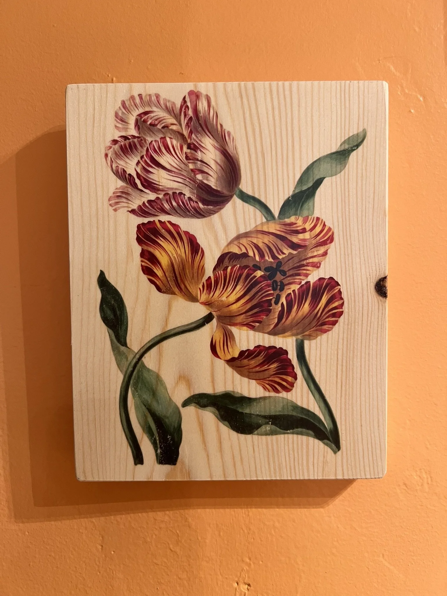 STRIPED TULIPS