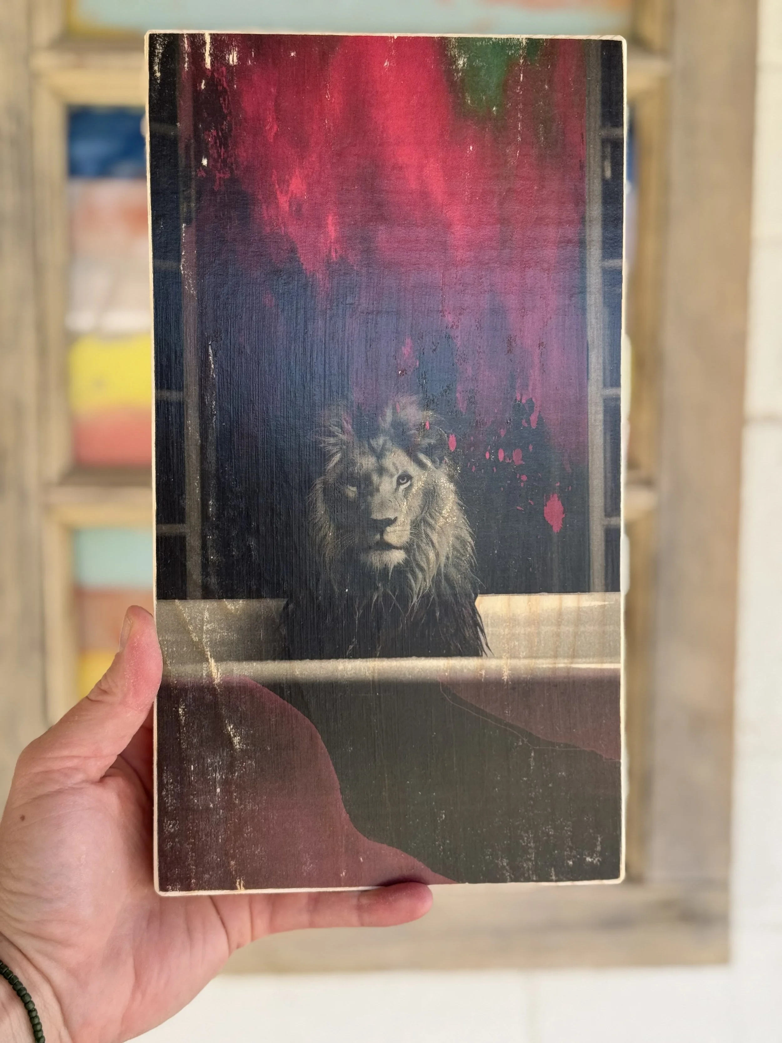 lion tub red background 1.jpeg