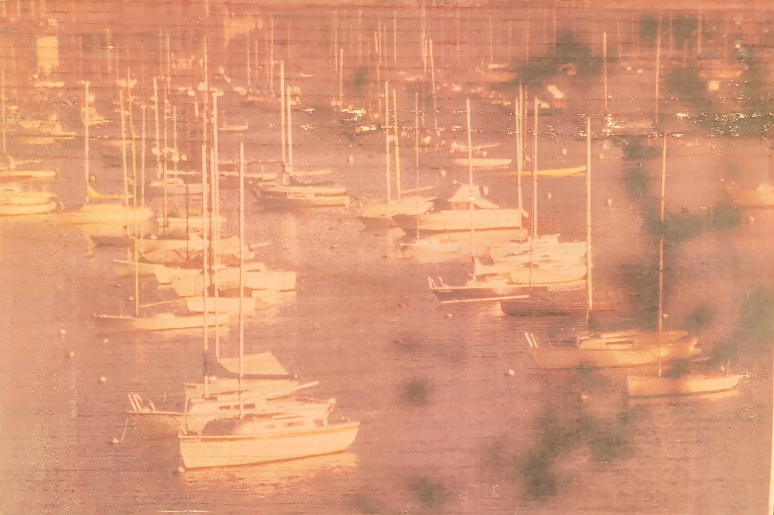 SAFE HARBOR