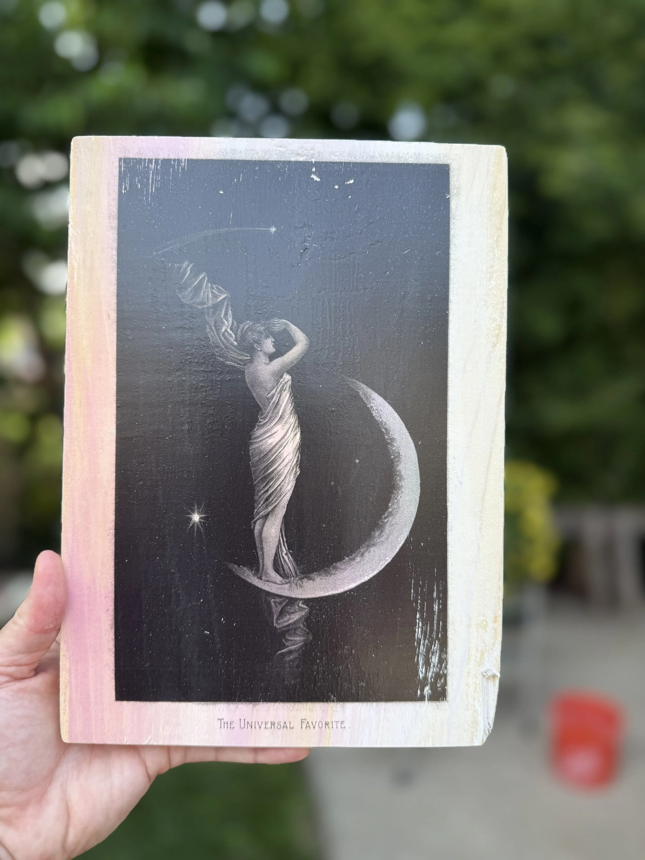LUNAR REVERIE