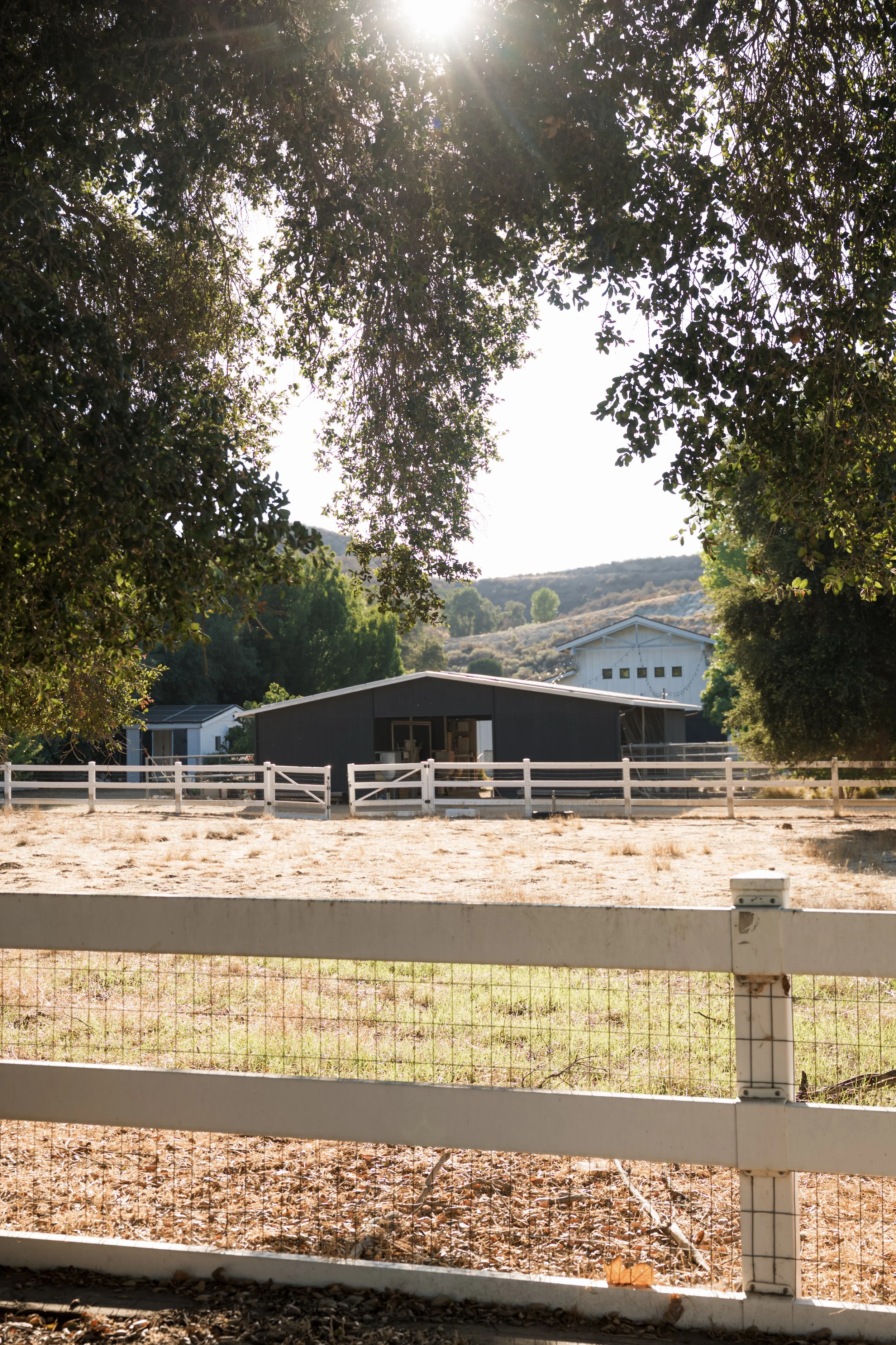 ALYSSALIZARRAGA_TRIUMPH-1 copy.jpg