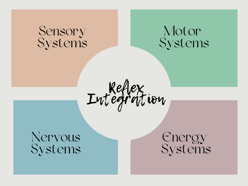 White Modern Colorful Business Process Grid Cycle Diagram (6).png