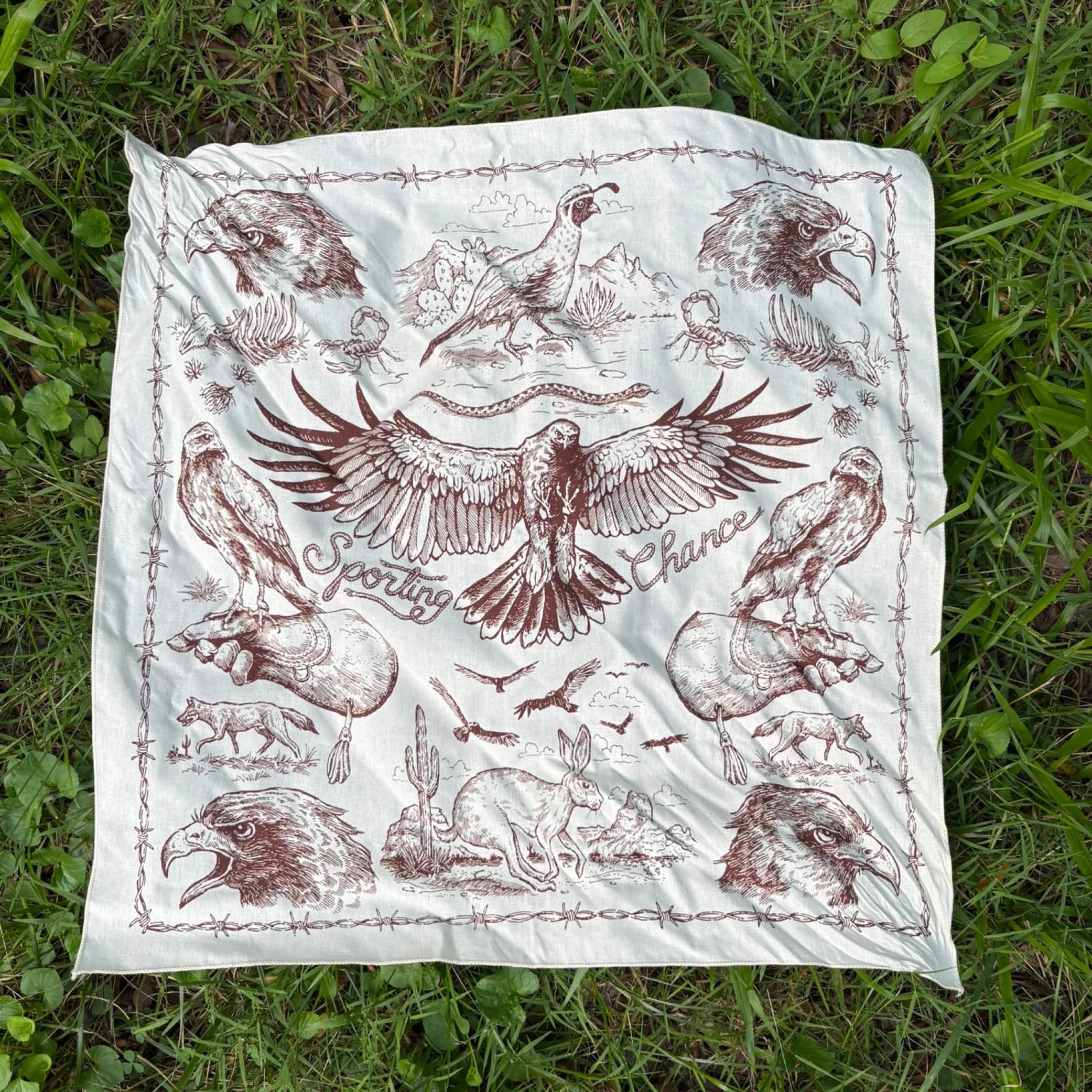 Harris Hawk Bandana