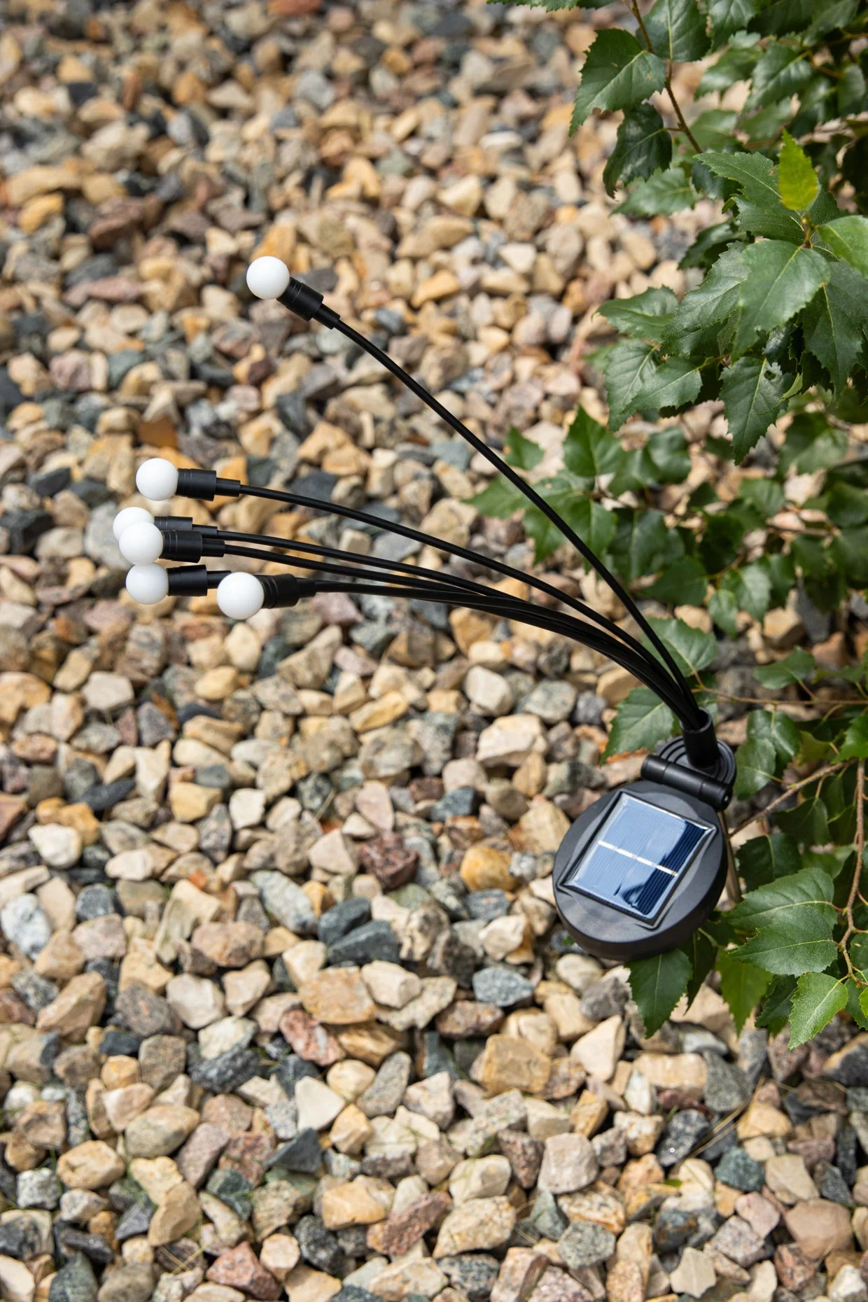 SELINGER F_WEB-09.jpg