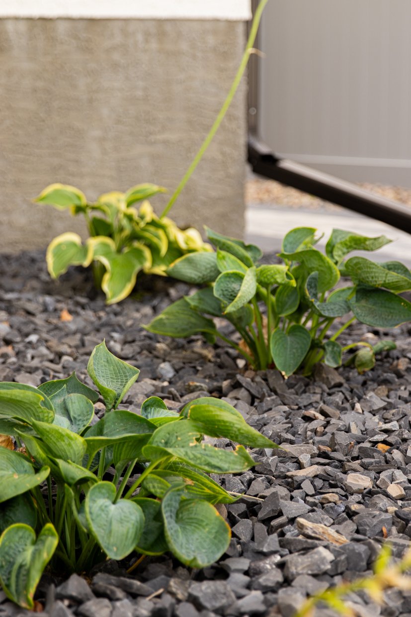 4641 chuka_WEB-03.jpg