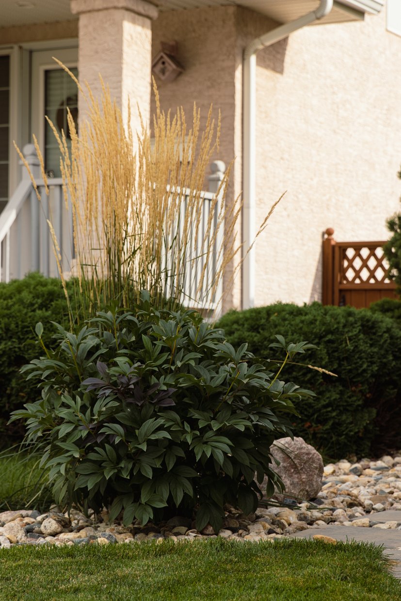 3539 E Waddell Cres_WEB-03.jpg