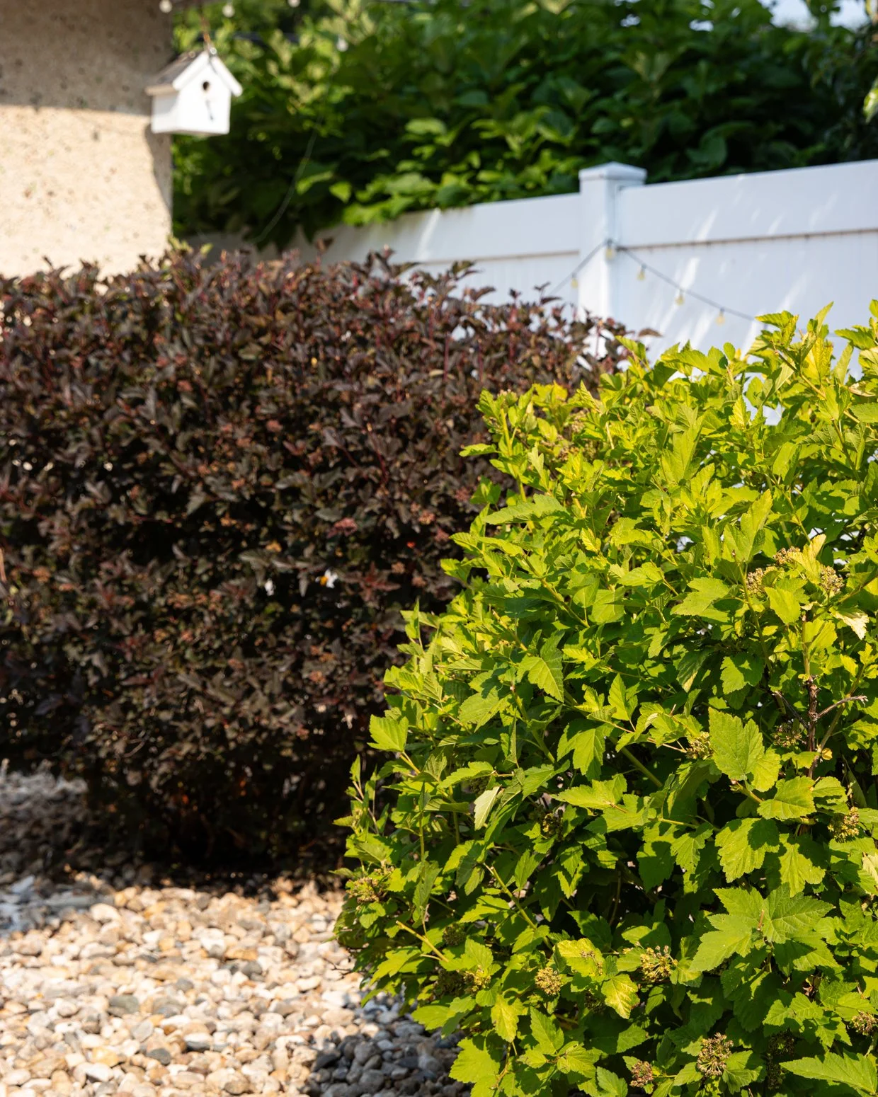 CORNWALL BACKYARD_WEB-02.jpg