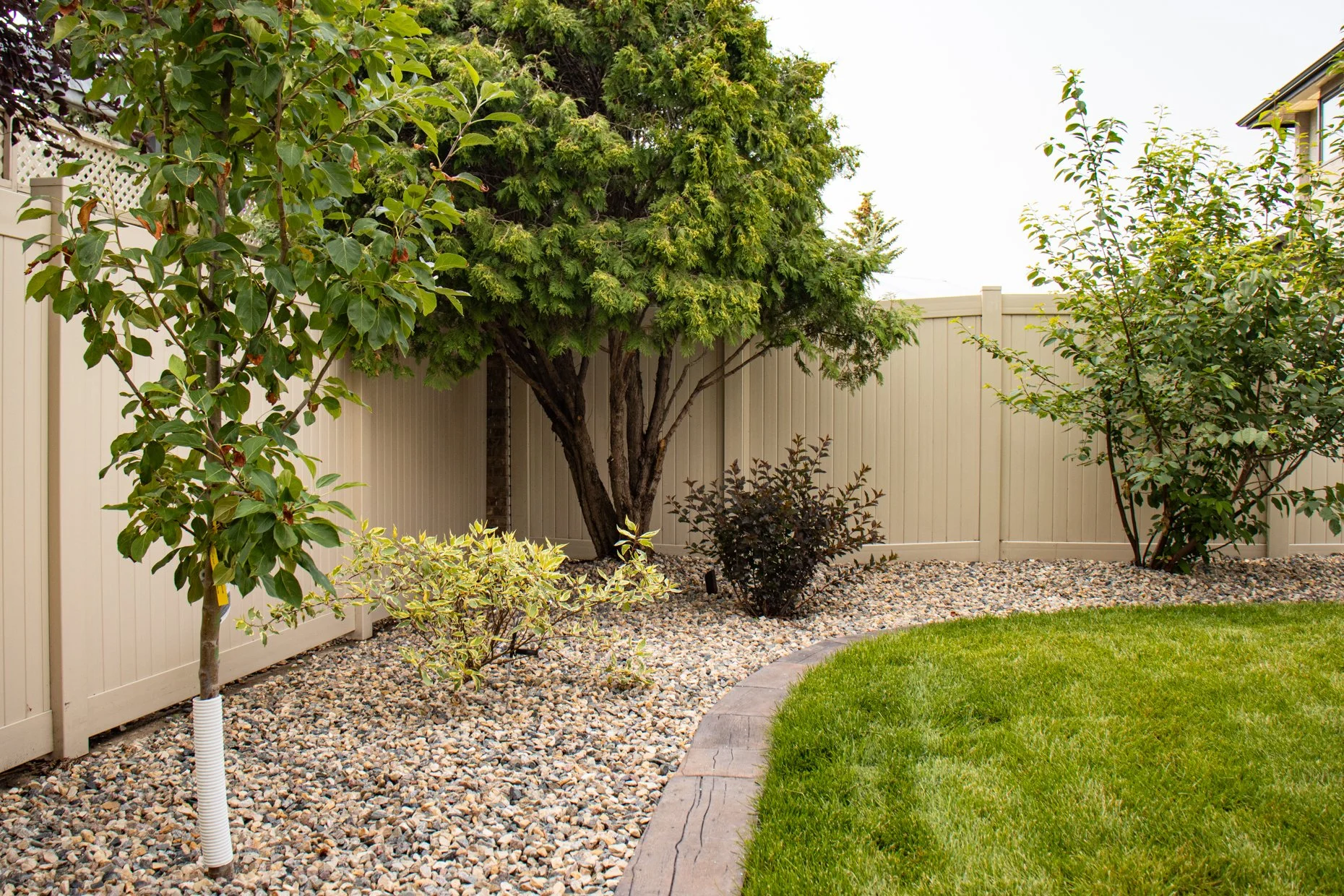 SELINGER F_WEB-26.jpg