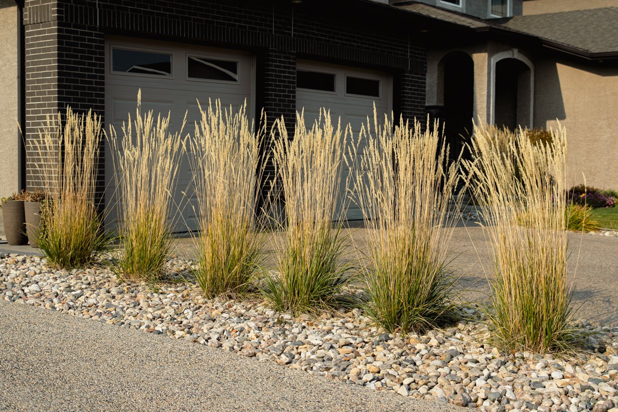 5237 Snowbirds Cres_WEB-4.jpg