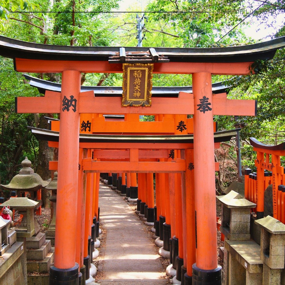 Japan: Where Tradition Dances with the Future 🇯🇵✨

From ancient temples to neon-lit cities, Japan is a land of contrasts &mdash; where cherry blossoms whisper of the past, and innovation shapes tomorrow. Here, every moment is infused with grace, pr