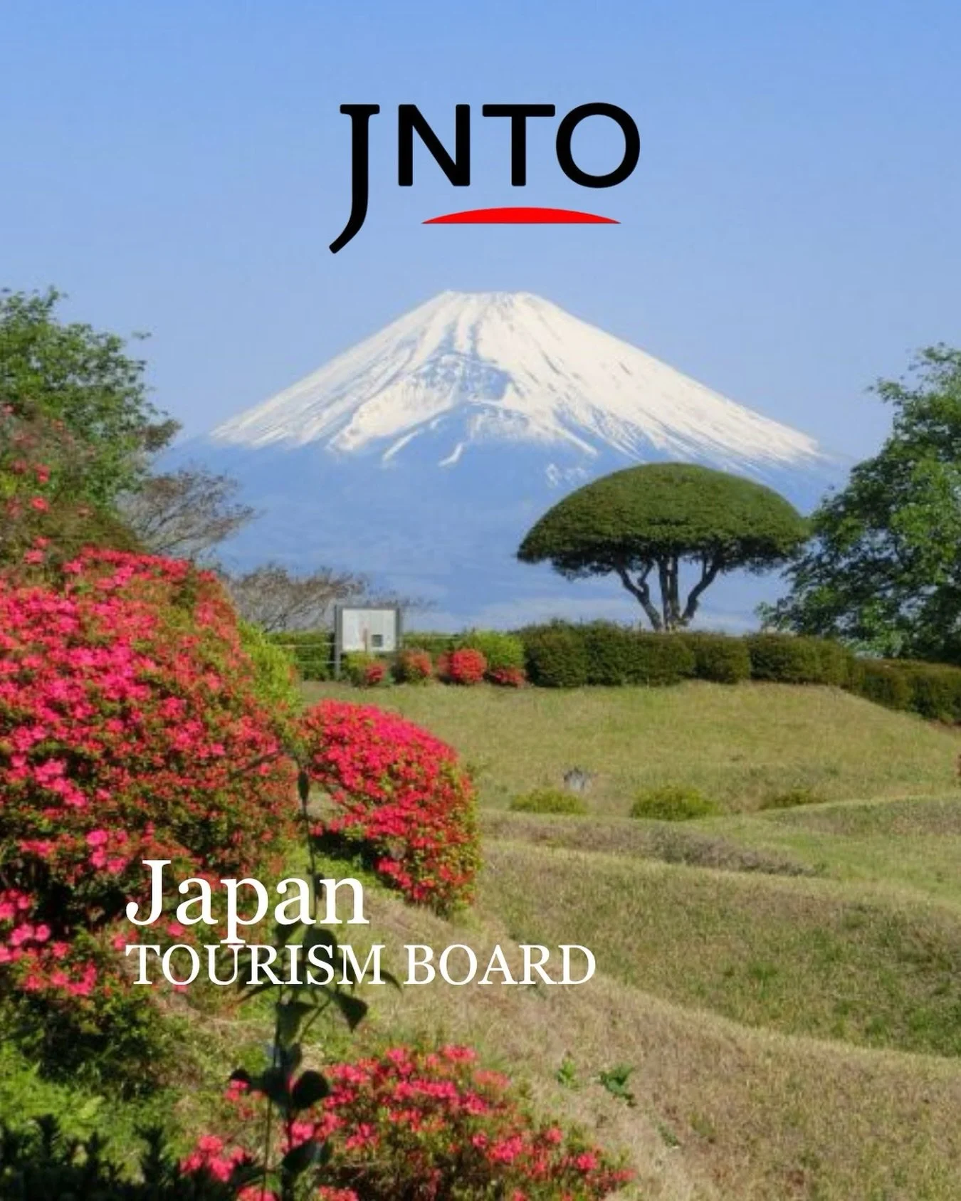 @visitjapanfr - Japan National Tourism Organization ✨

Japan is home to a great diversity of natural beauty, an intriguing culture, and world-renowned cuisine. 

Travelers will enjoy &ldquo;omotenashi&rdquo;, the traditional attentive hospitality and