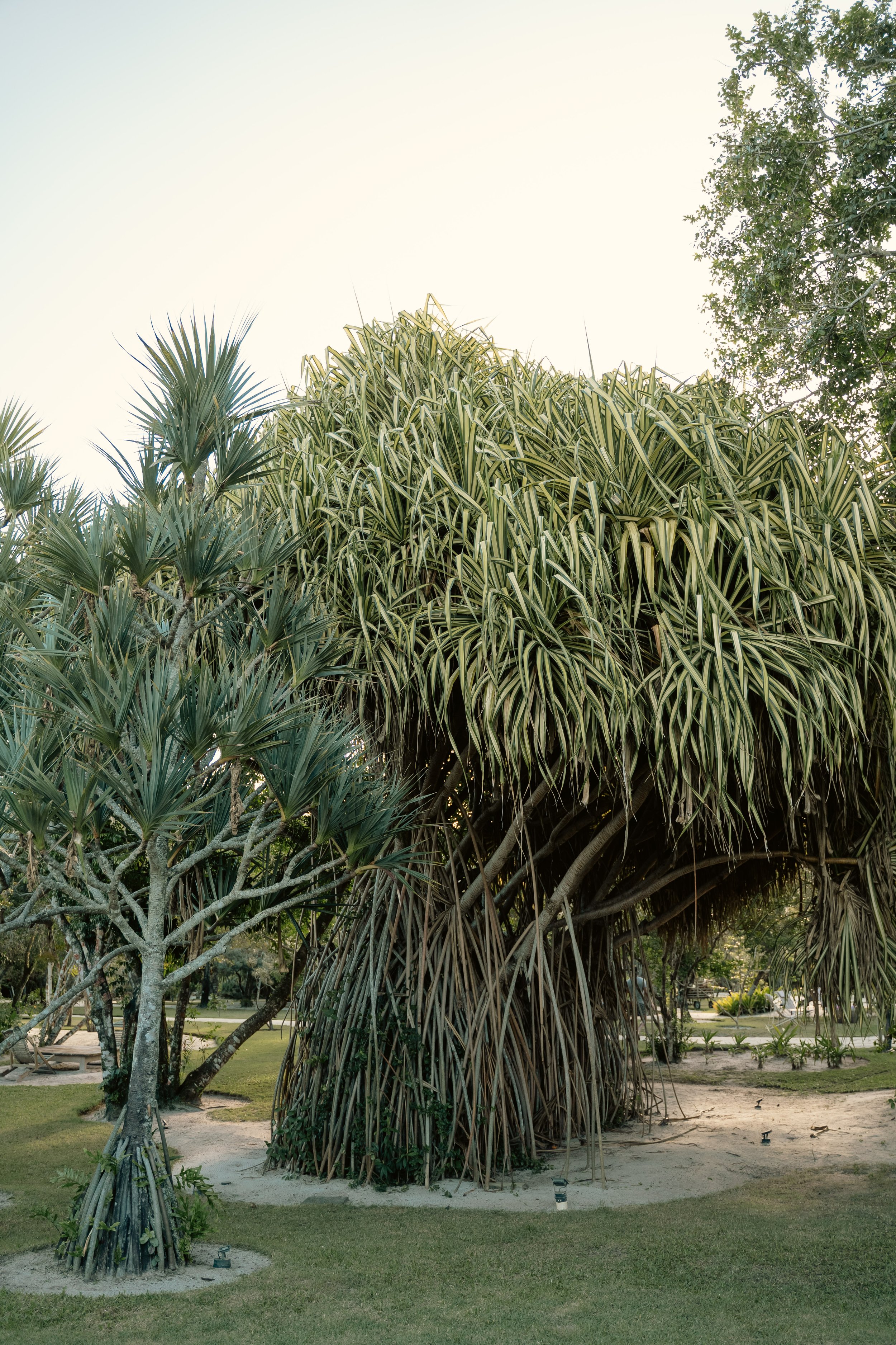 EstrelaDAgua-265 (1).jpg