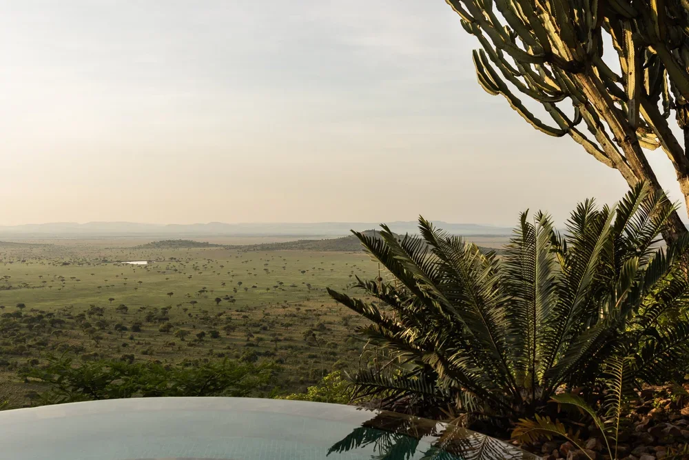 Singita+Kilima_Main+Suite+Pool+3.webp