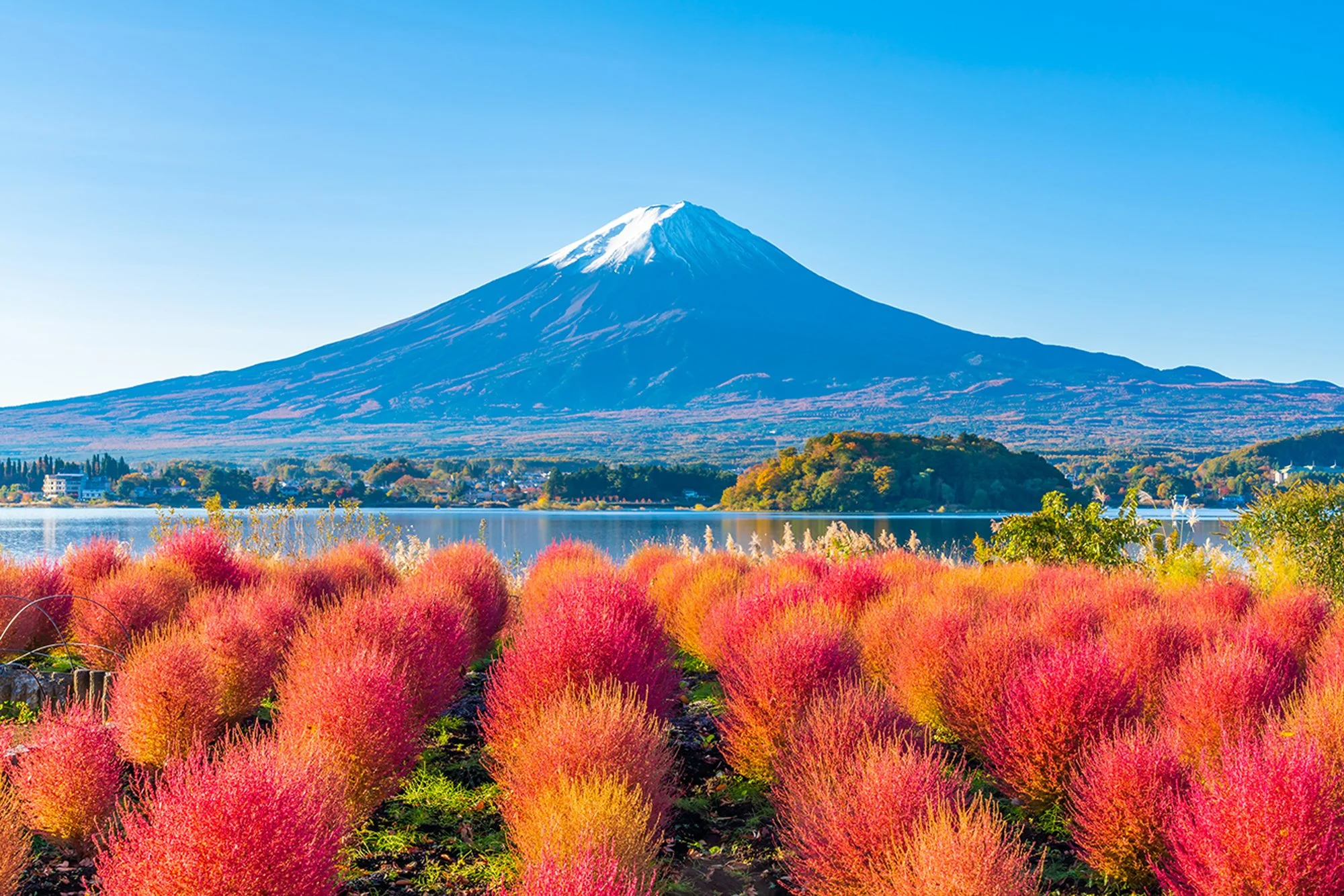 20201104_MtFuji_0381_m.jpg