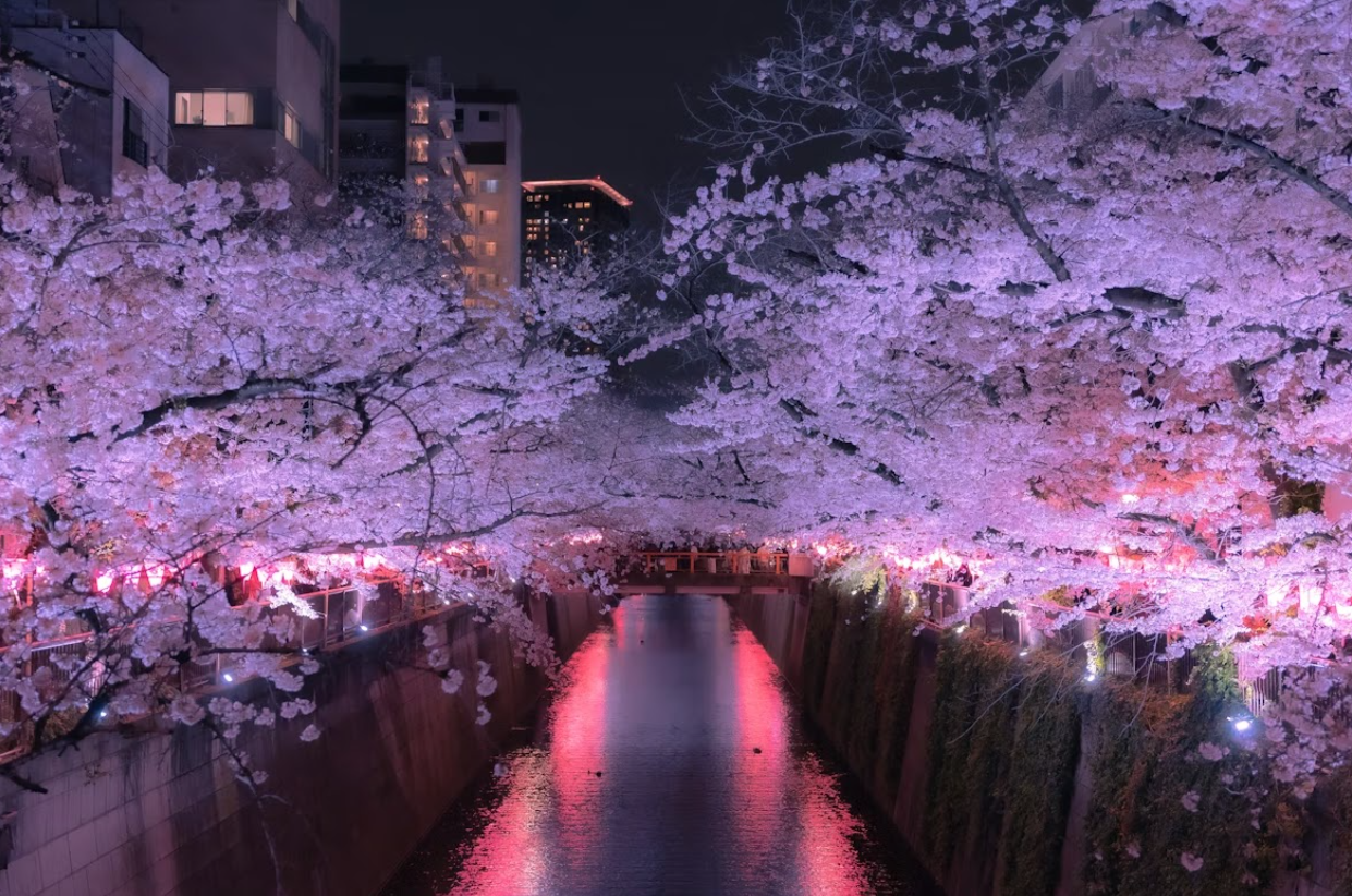 Tokyo Tourism Board