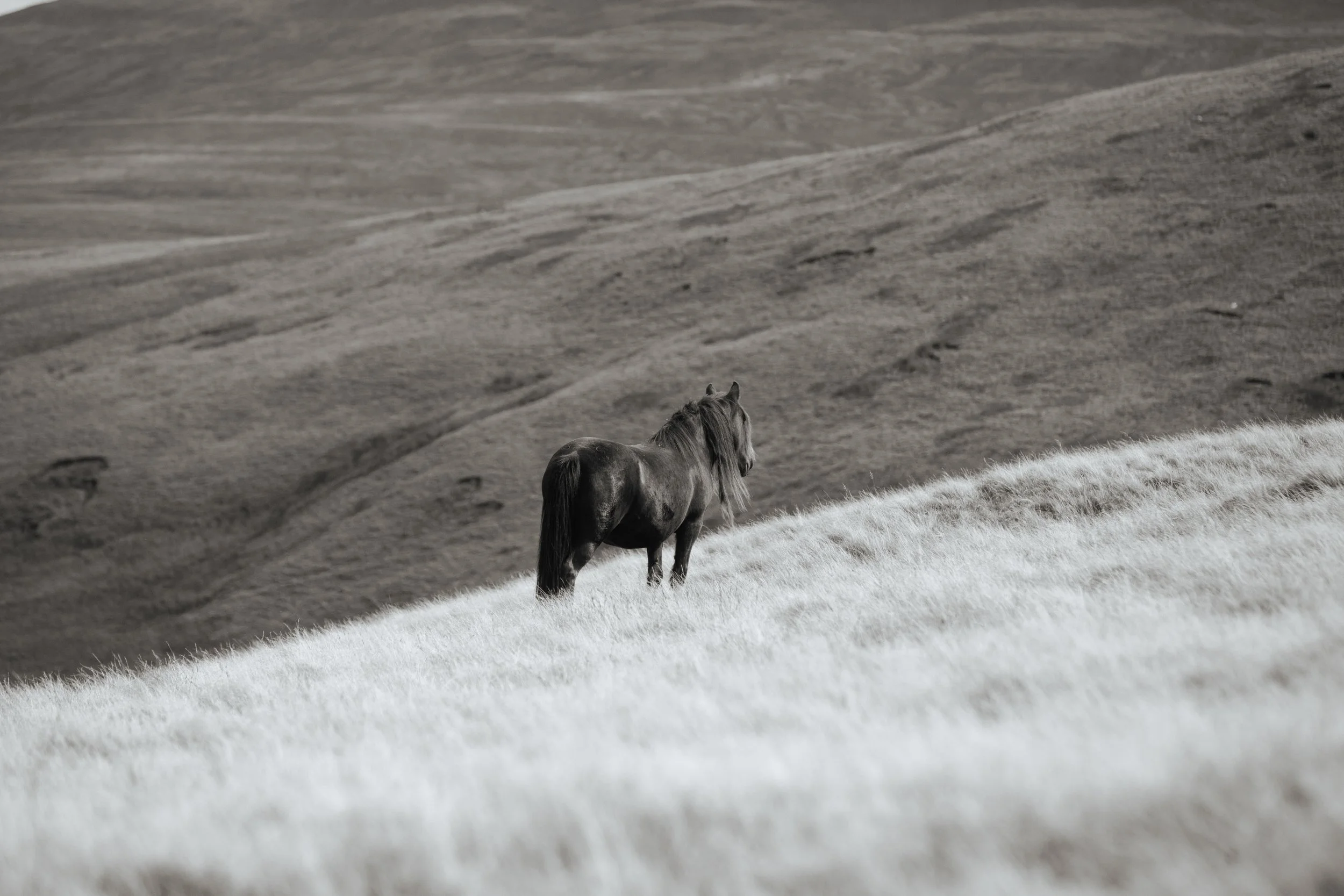 Lowthwaite fell-48FELL.jpg