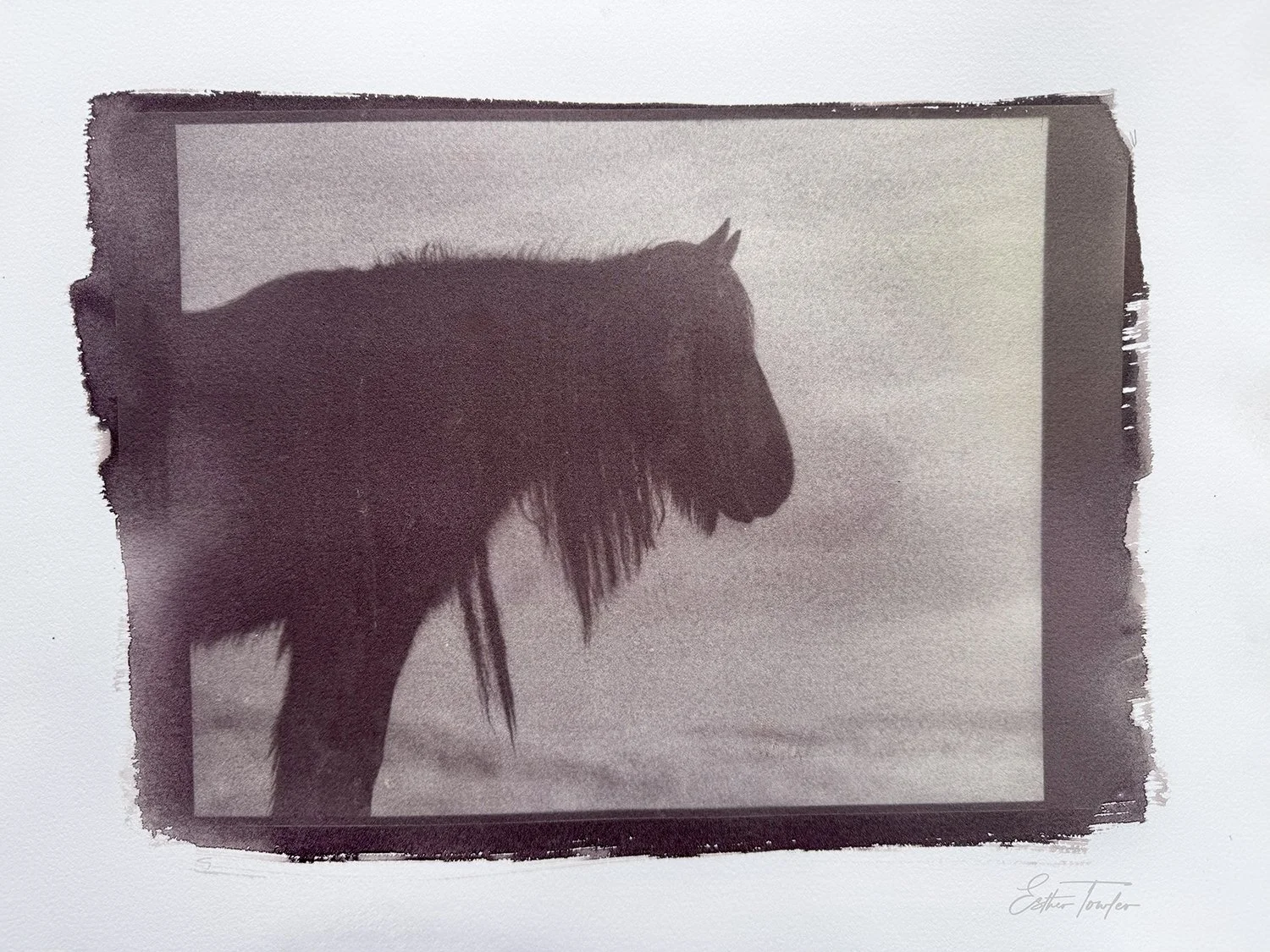 Van Dyke Brown Print