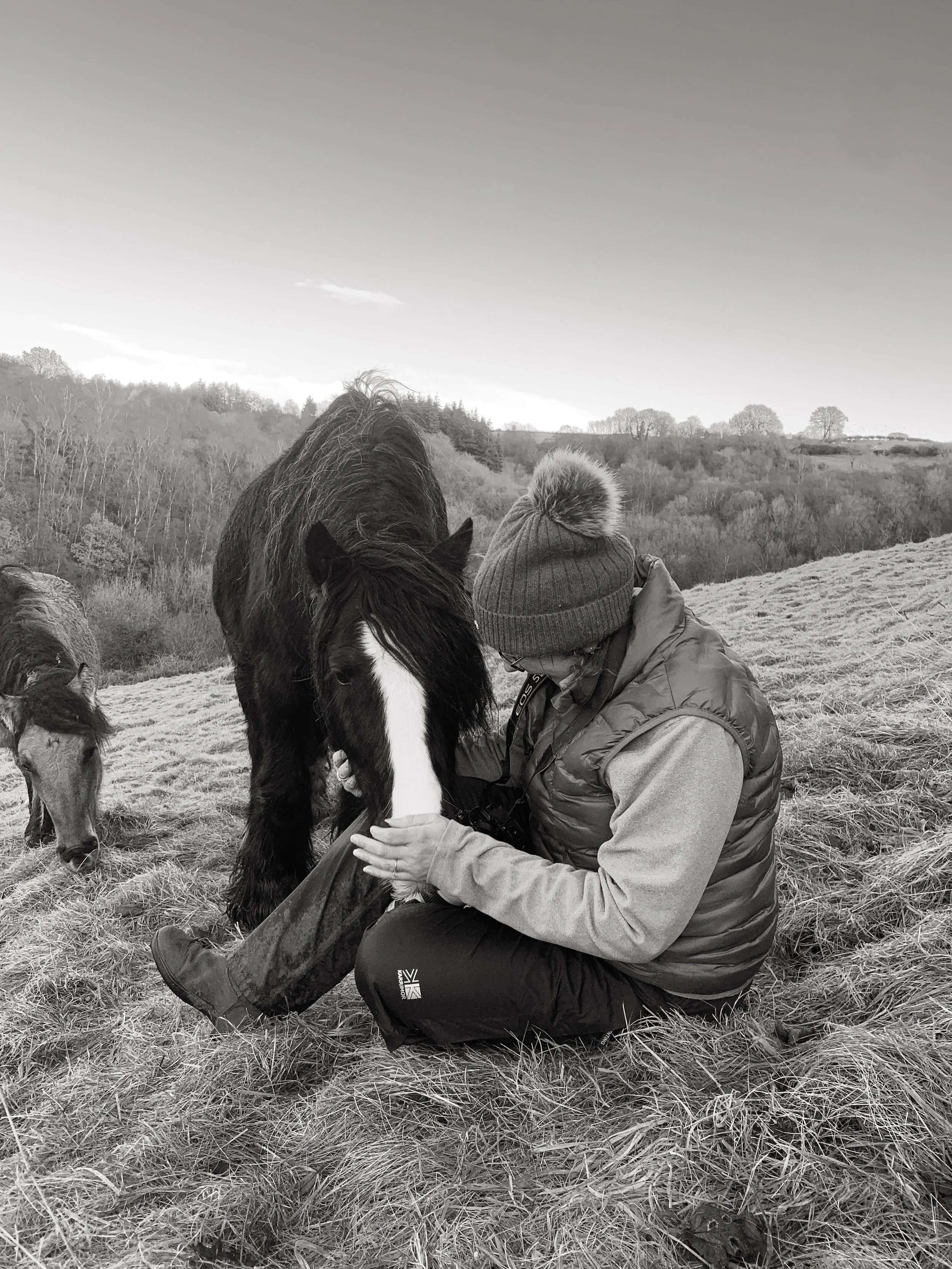 Person sitting on grass, petting a horse's face, with another horse nearby. The setting is an open field with trees in the background, under a clear sky.