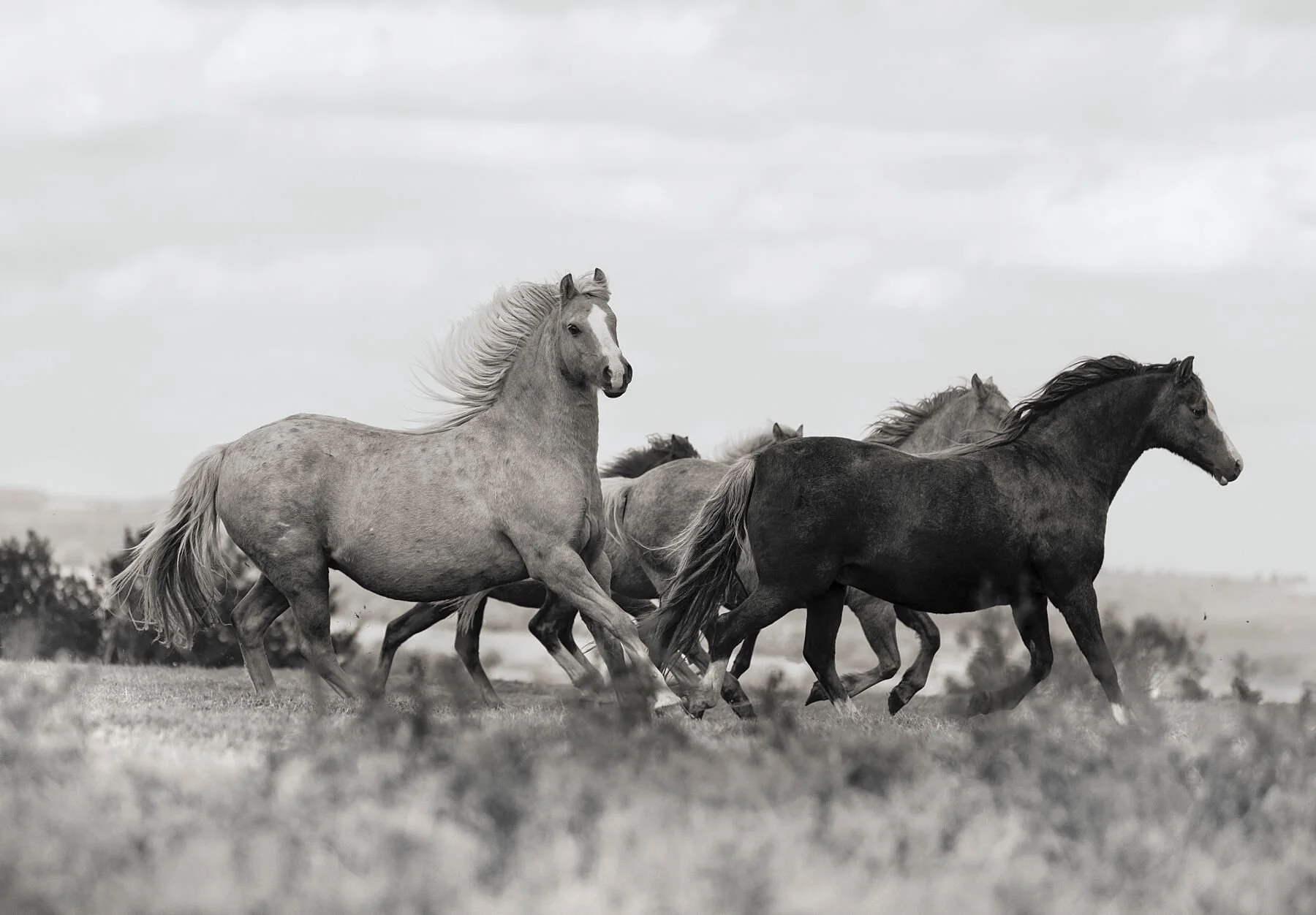 Welsh Section B - The Welsh Grace