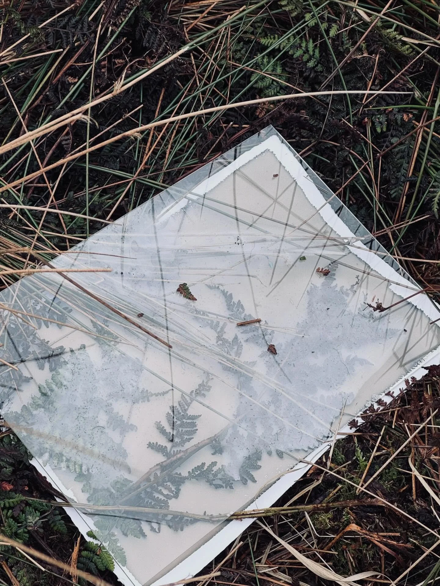 Behind the scenes: Something new is beginning.

Since completing Wild Hearts, I&rsquo;ve been drawn to explore the wild British landscapes that I&rsquo;ve photographed for years but through a different process entirely.

These are environmental cyano