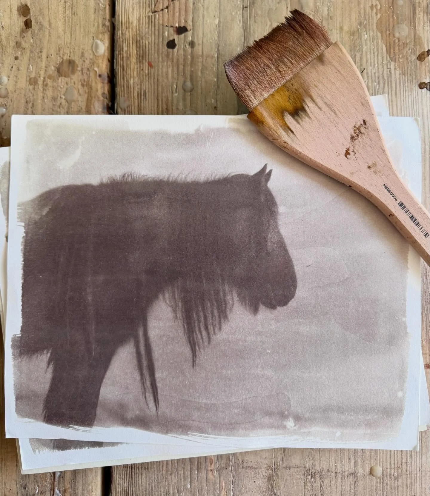 I&rsquo;ve been spending time in the studio lately, experimenting with ancient alternative photographic processes, and this one has completely captured my heart. 
Van Dyke Brown is one of photography&rsquo;s oldest techniques, and I think you&rsquo;l