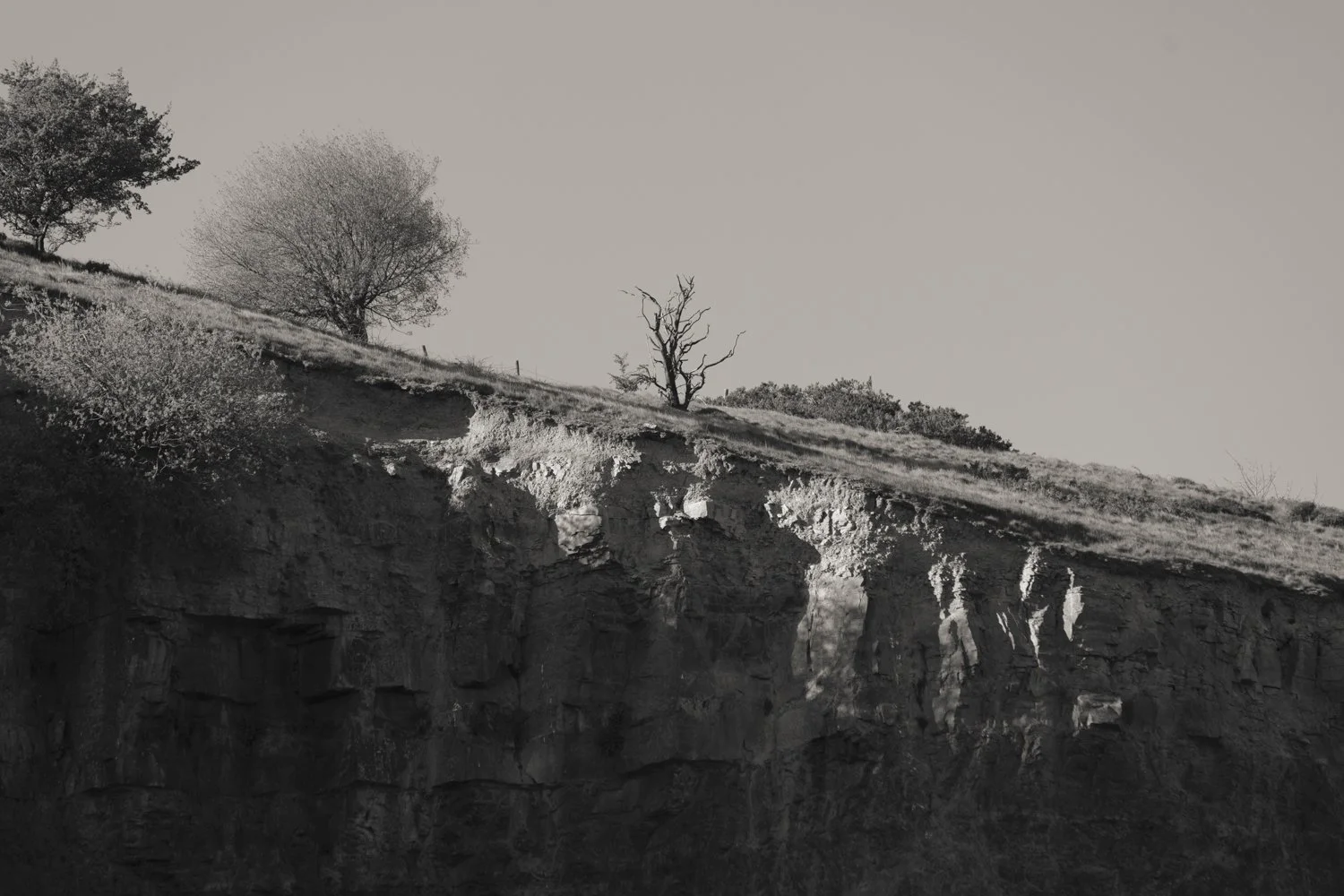 Displacement of Nature: A Conversation That Brought It All Home