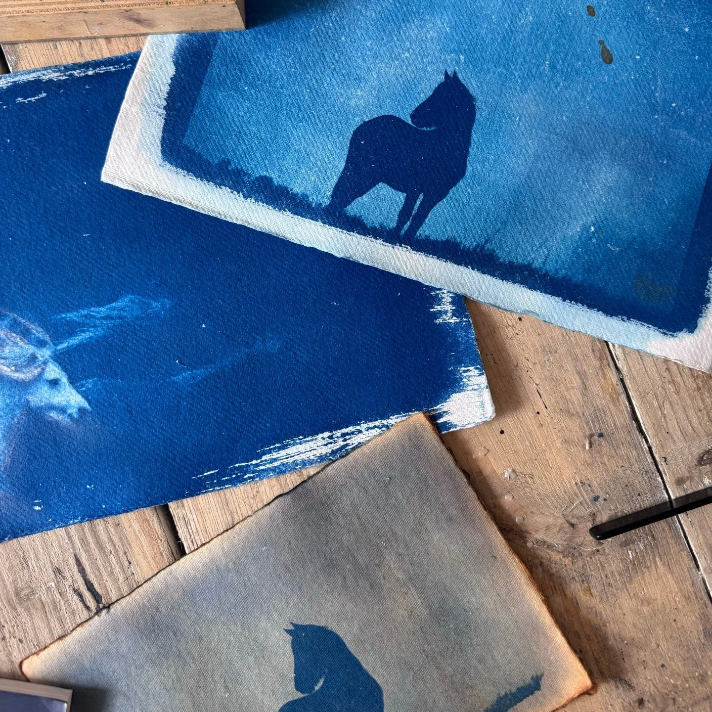 Thinking about owning an original cyanotype? Here's what you need to know 🌿
1. Every piece is truly unique
The same cyanotype can never be exactly recreated &mdash; the light, the plants, the weather on that day are gone forever. You're not buying a