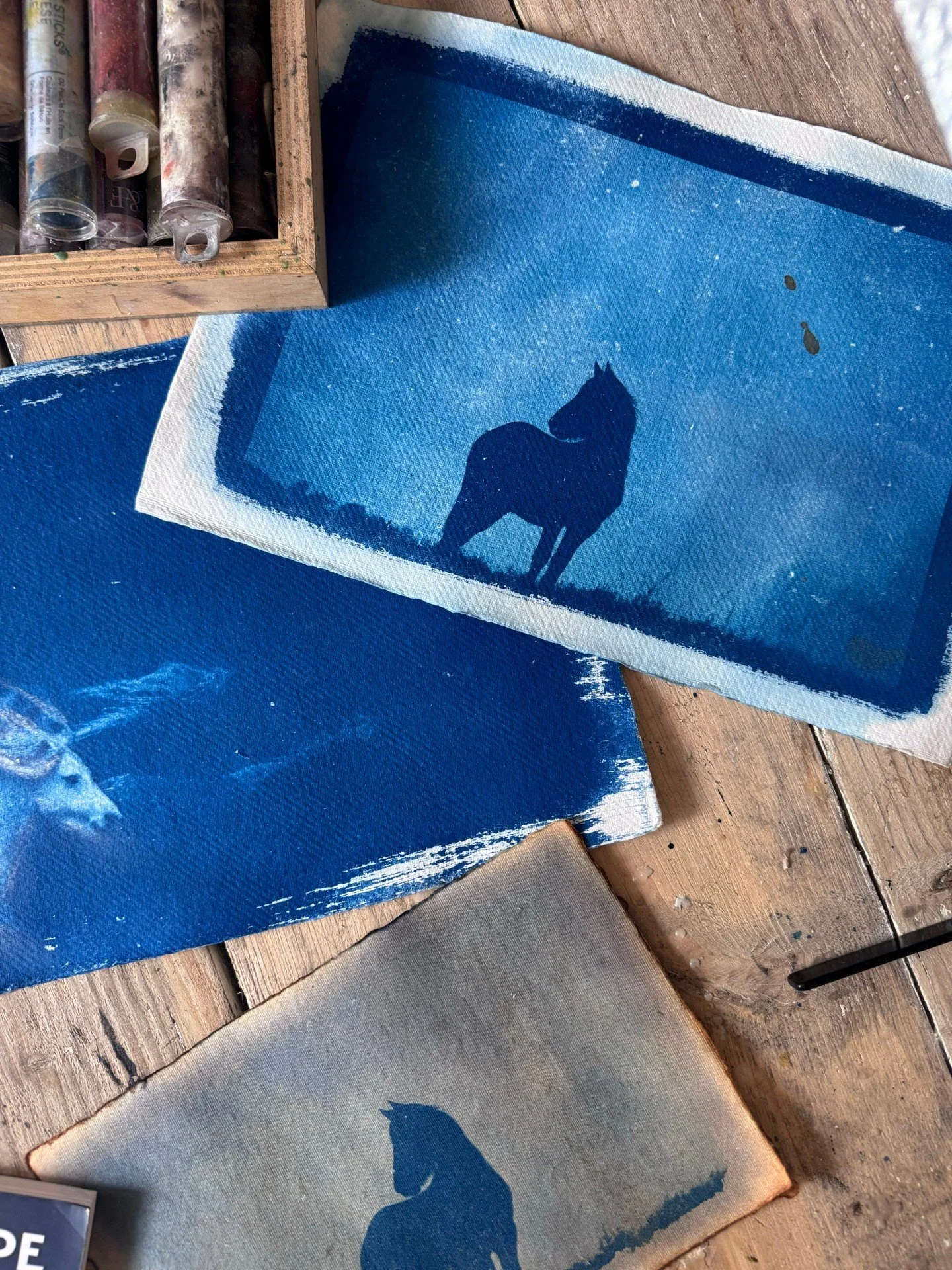 Something exciting is coming!

For the first time, a carefully selected collection of my original artworks will be available to purchase directly from my website, launching next week.
These are one-of-a-kind pieces from my alternative process collect