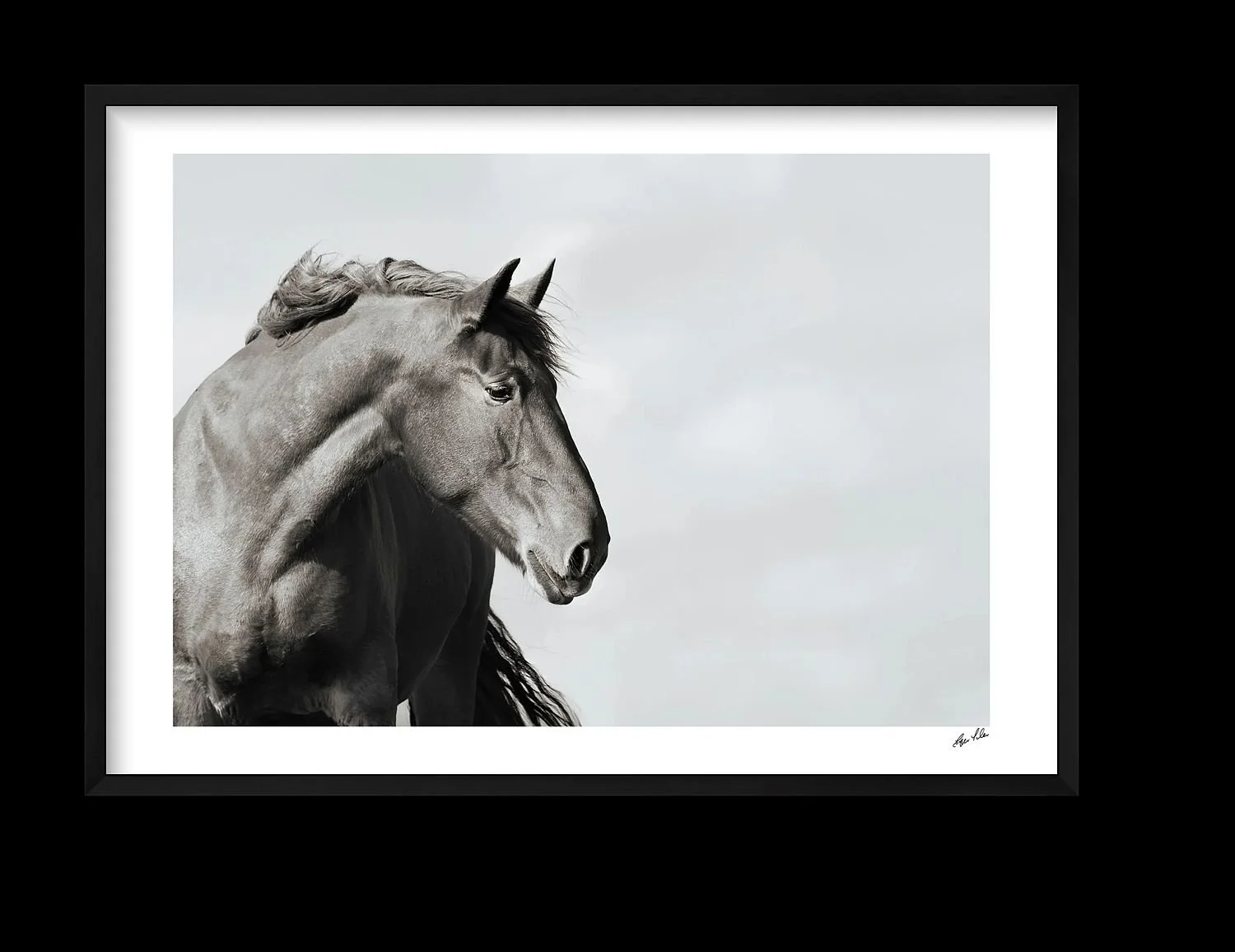 preview_d8d22093_5deab01a.jpg