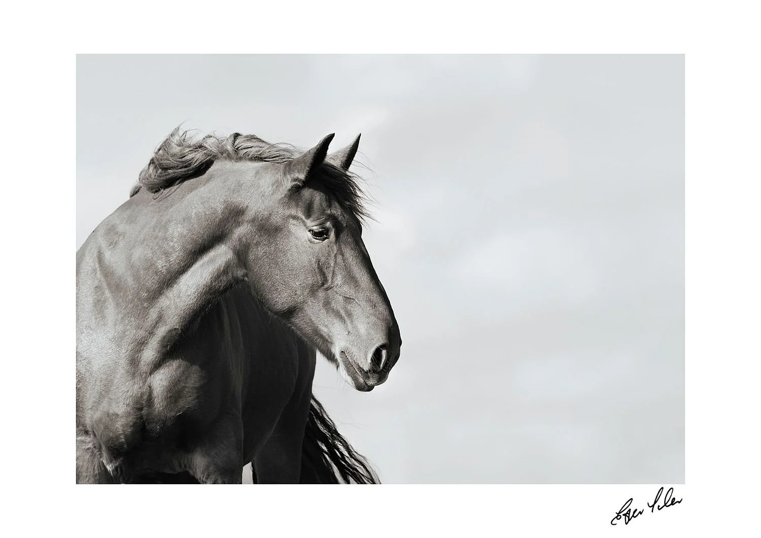 preview_aae632e0_ff846a72.jpg