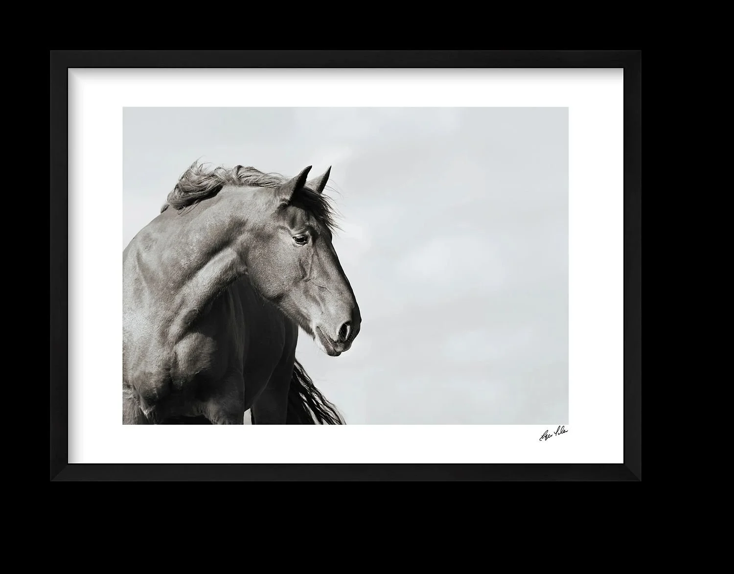 preview_54adc418_94781d22.jpg