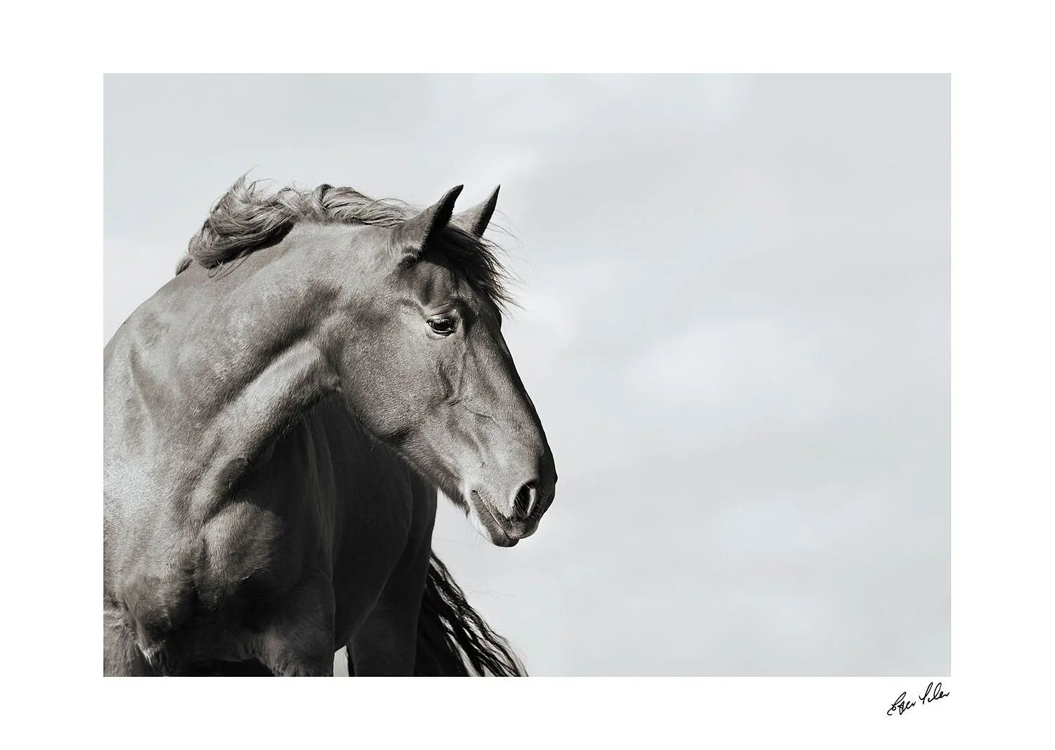 preview_20368ab2_a7c0a10c.jpg
