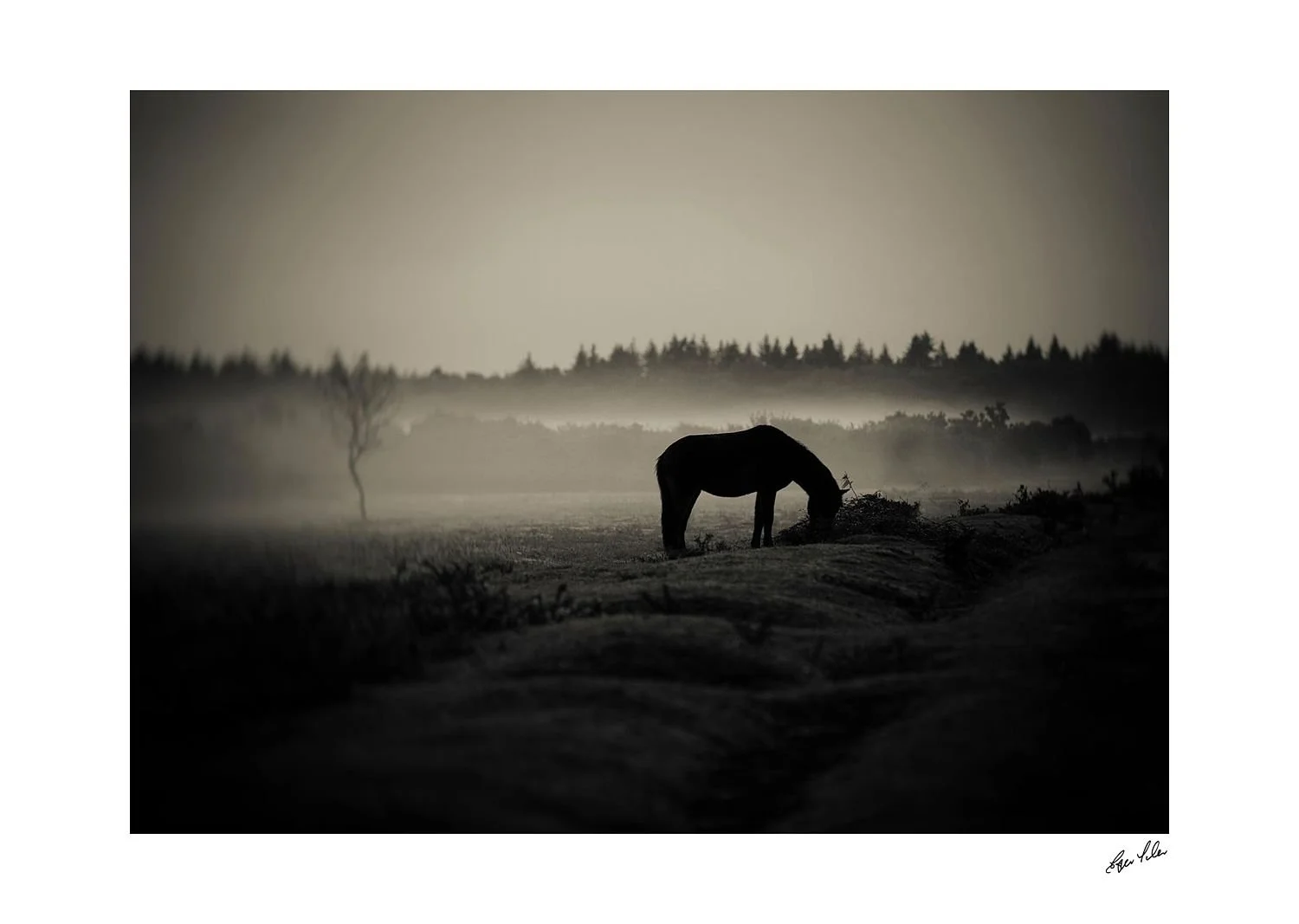 preview_feb0be66_f7b67356.jpg