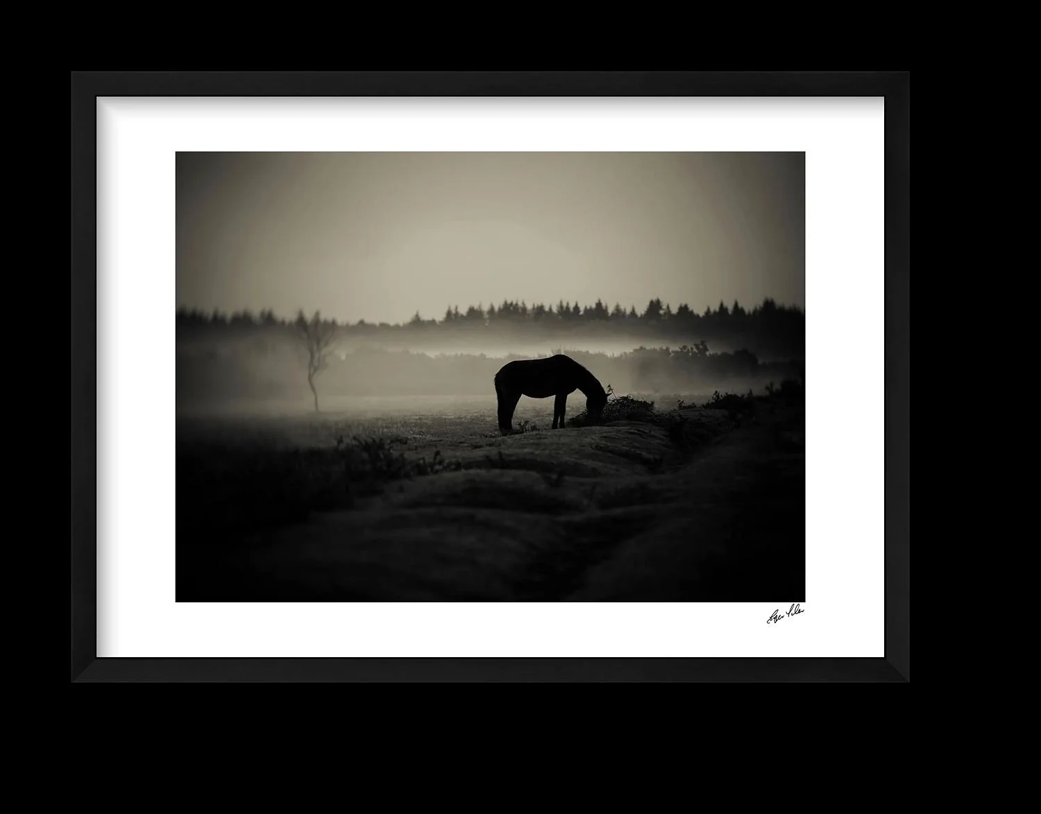 preview_bd912063_0c792cad.jpg