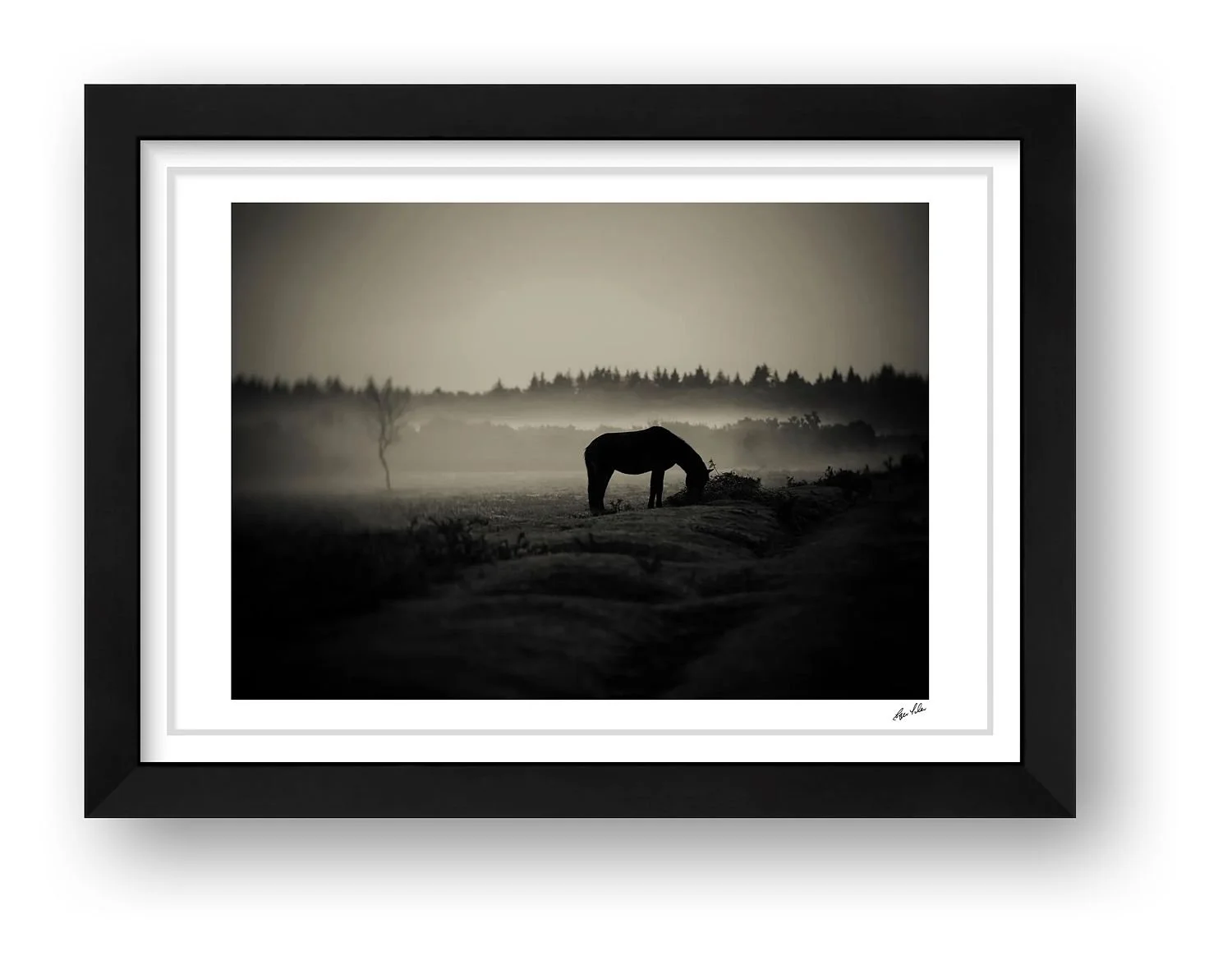 preview_62073605_3a3a75ee.jpg