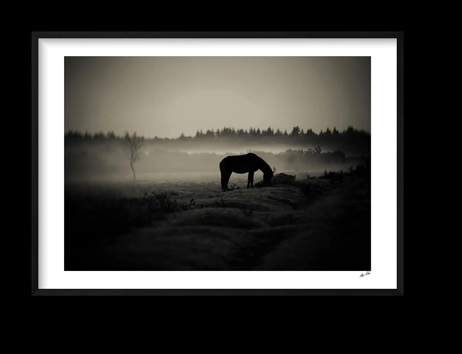 preview_5377f53d_aff1b91a.jpg