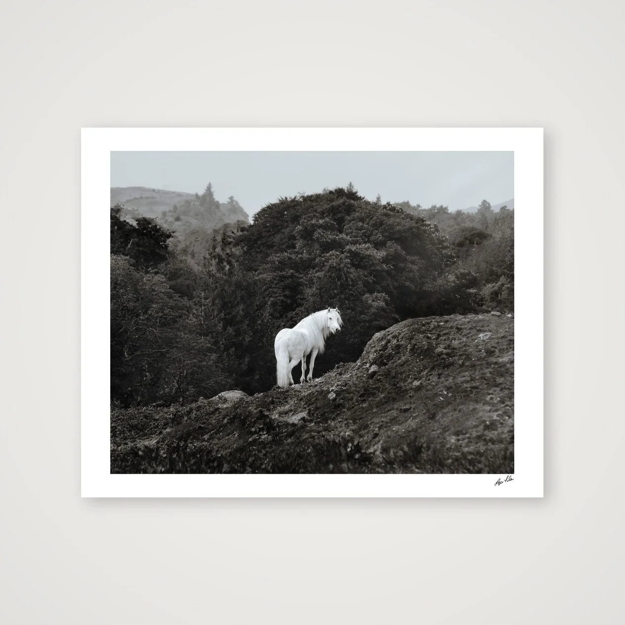Wild Hearts - The Highland
