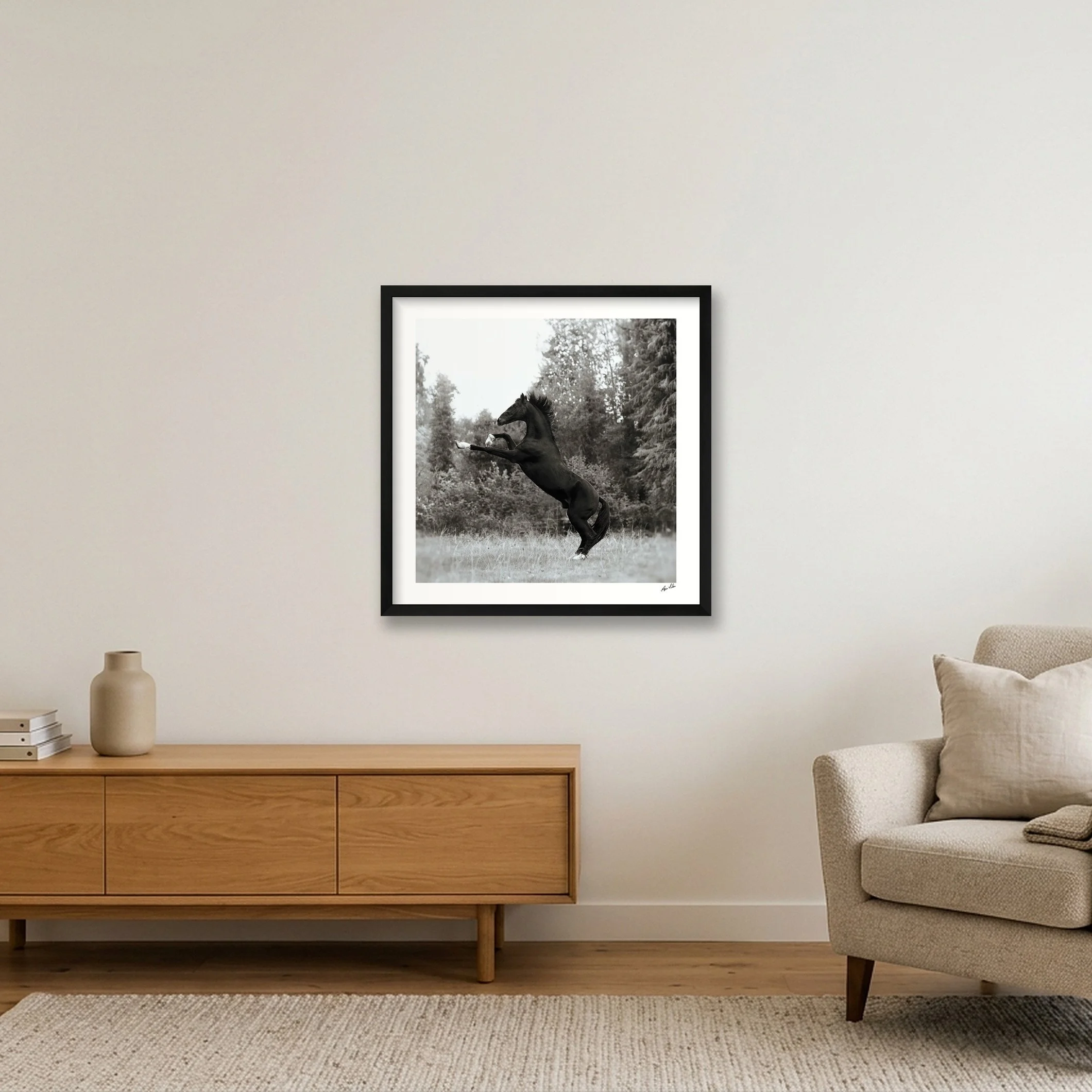 shot_wall_e376a71c_2a293f22.jpg