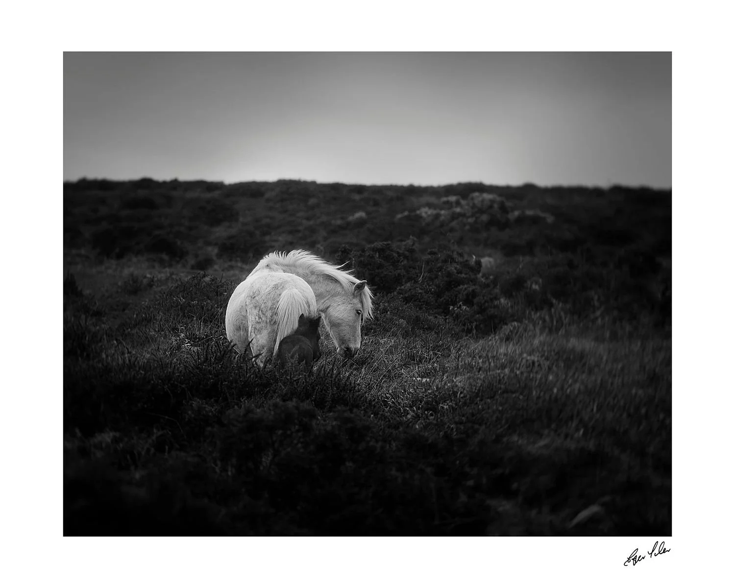 preview_ee5fd726_1a63e895.jpg