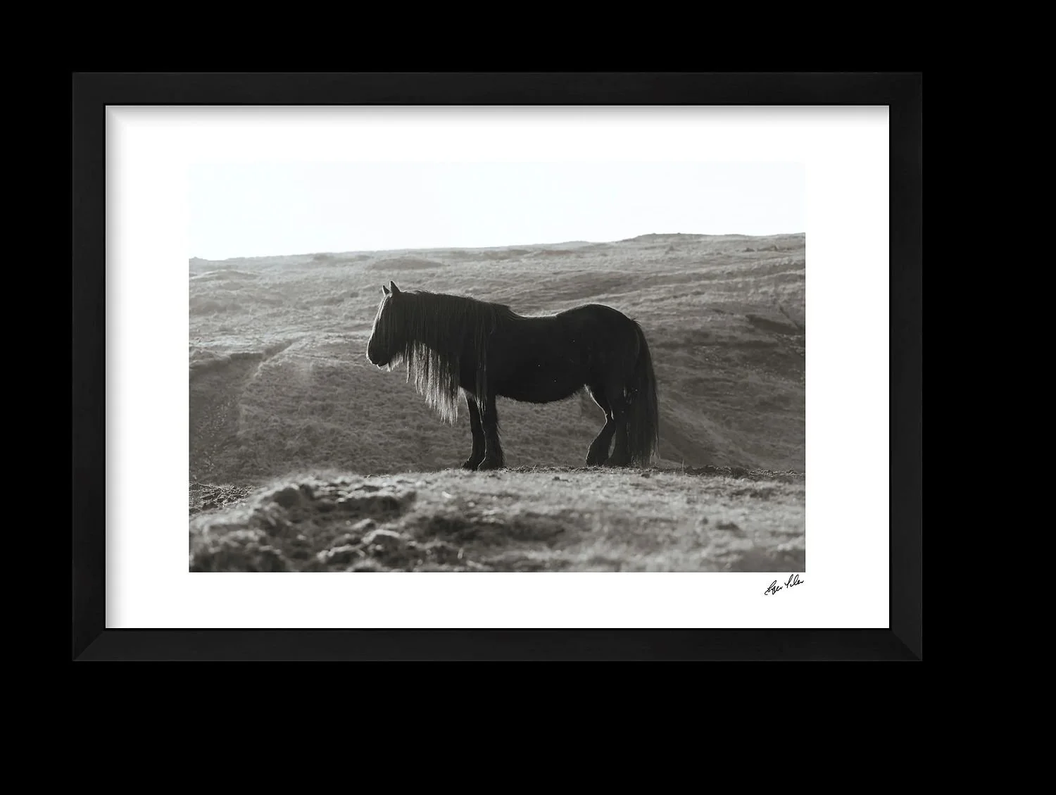 preview_b26a6402_5e7a3164.jpg
