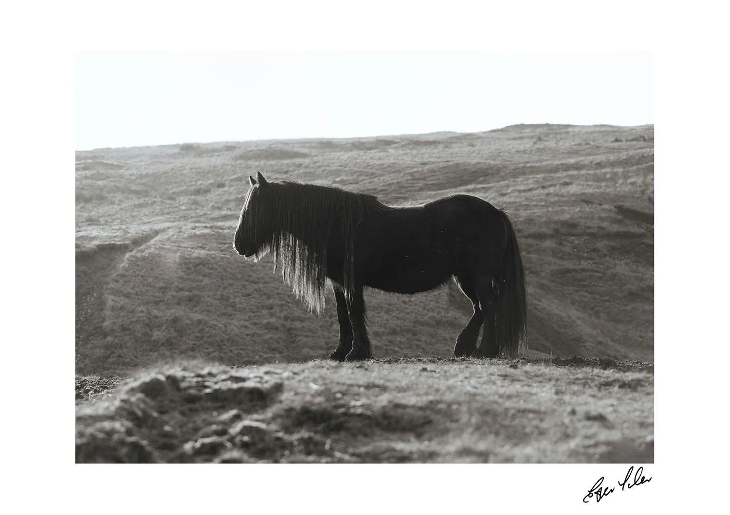 preview_61b70baa_22b11159.jpg