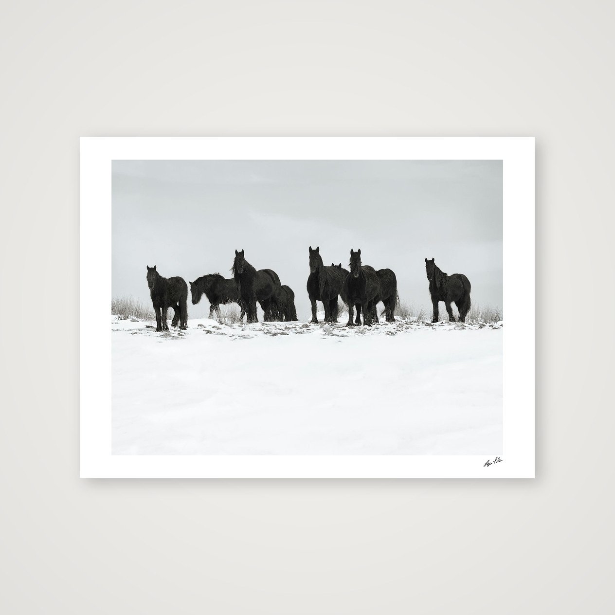 Wild Hearts - Dales Ponies, snow day