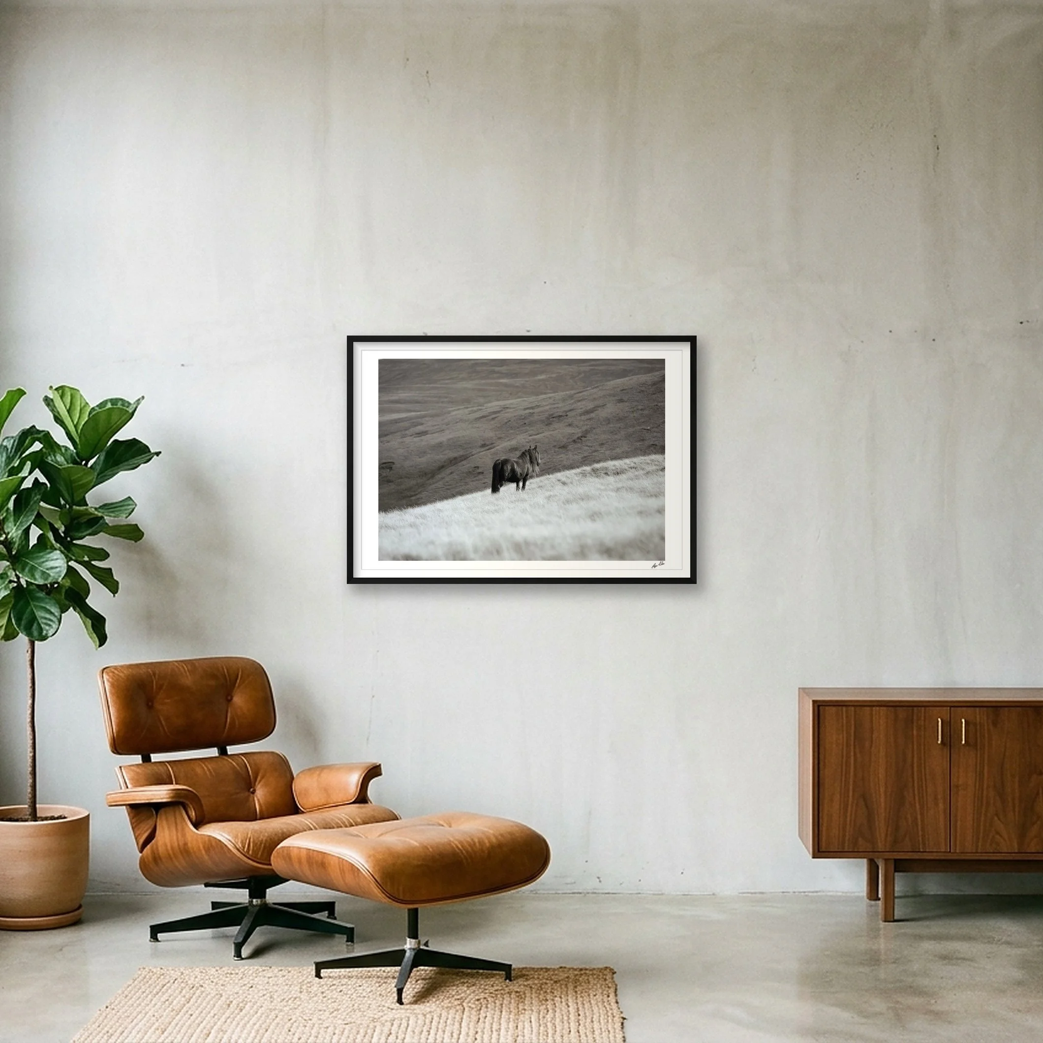 shot_wall_e28cddaf_d5b04ff0.jpg