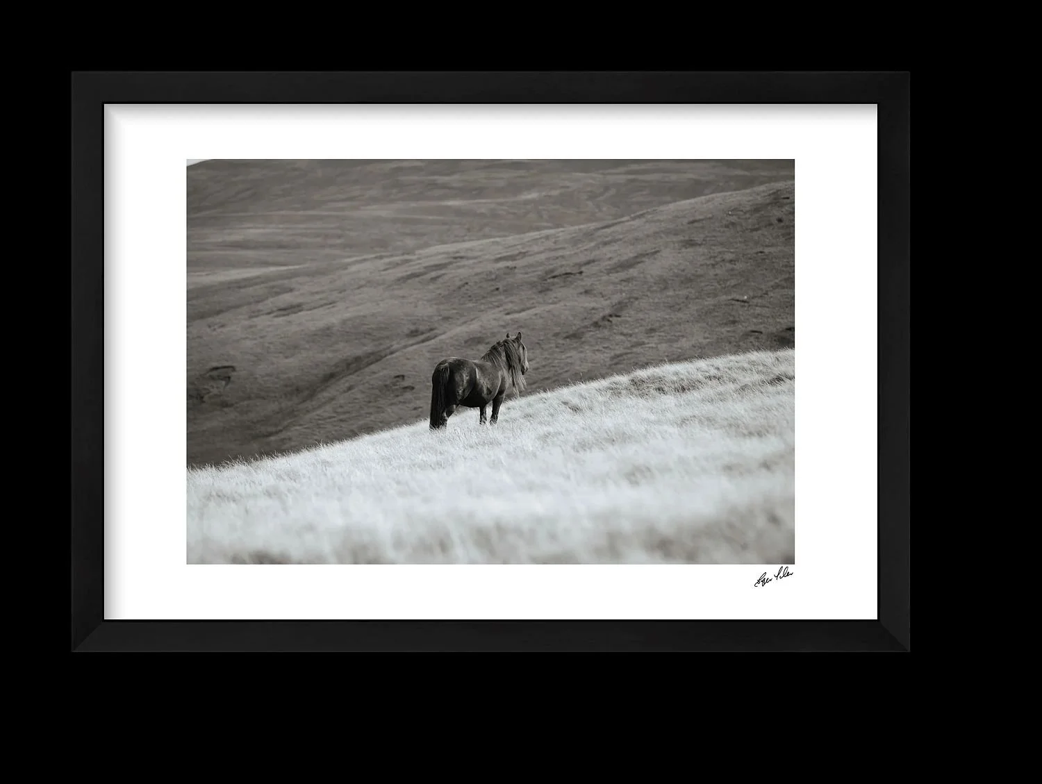 preview_6be002a5_b4589eb1.jpg