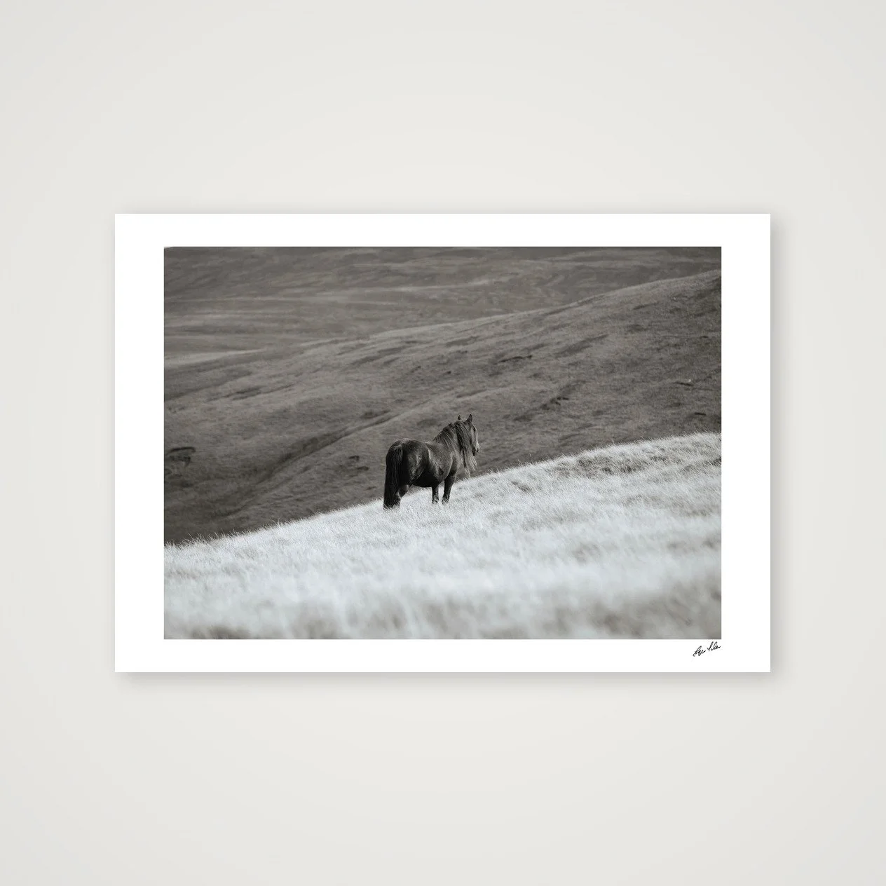 shot_table_aa360f15_7d179b26.jpg