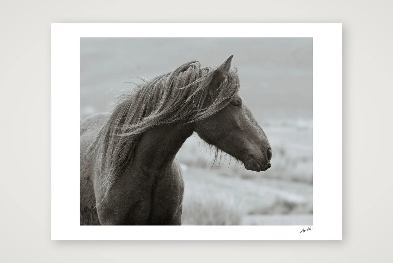 Wild Hearts - Fell Pony II